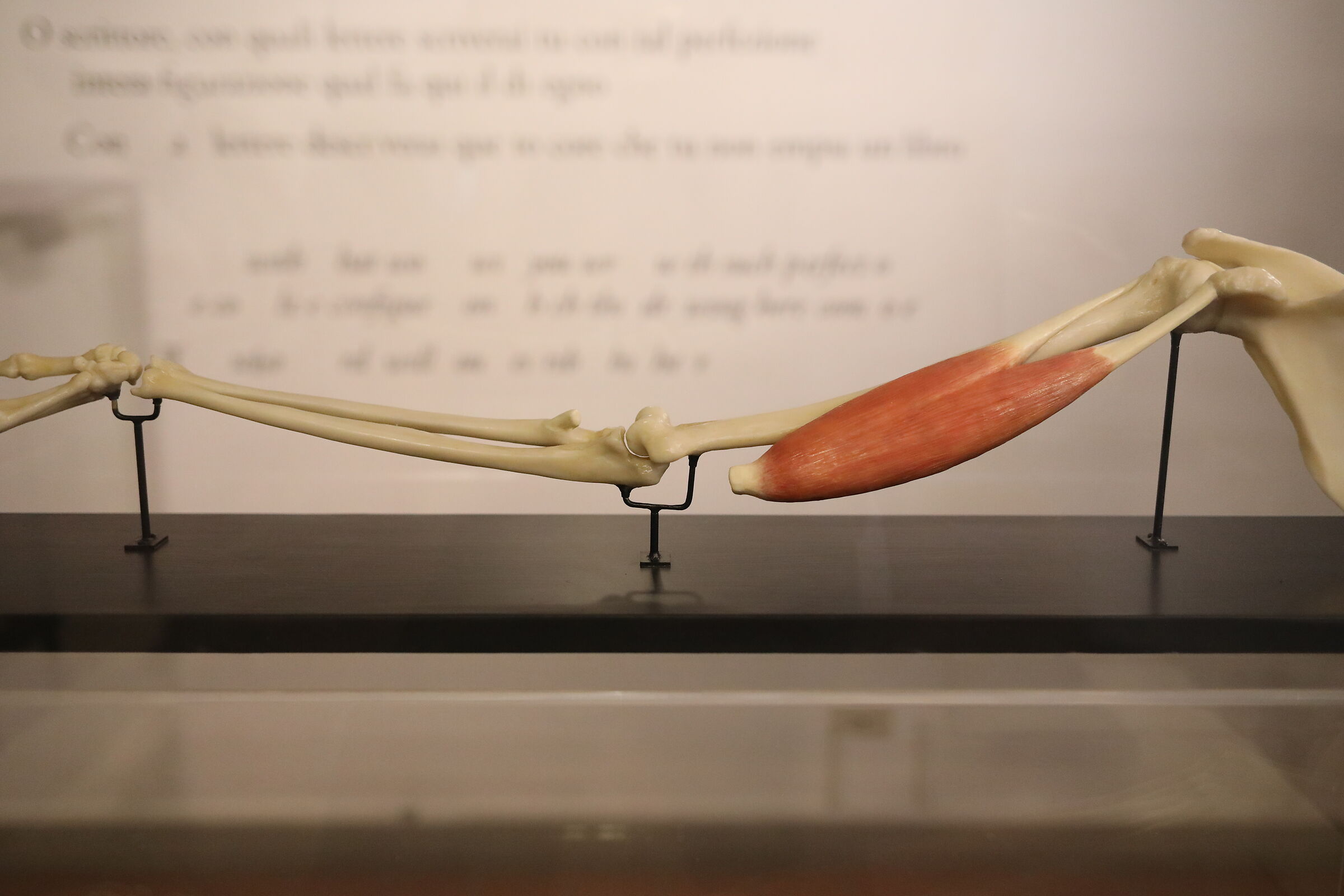 @" ISO 6 Thousand 400 " Canon 5 D 4, 35 F.2 IS Usm