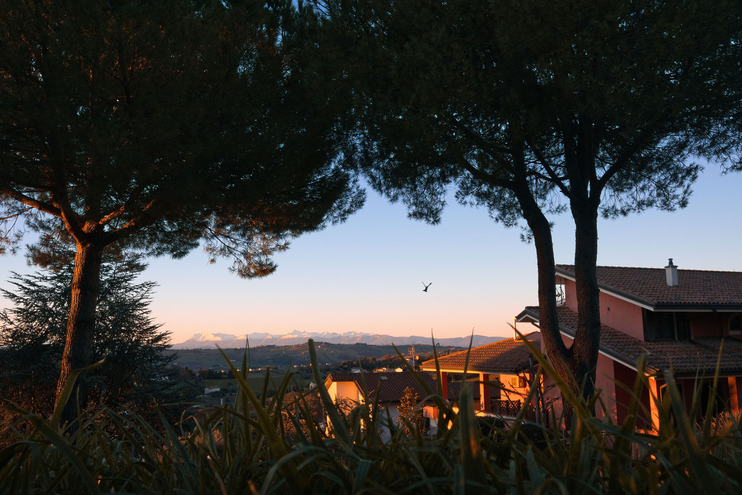 Vista sul monte Vettore (e piccione)