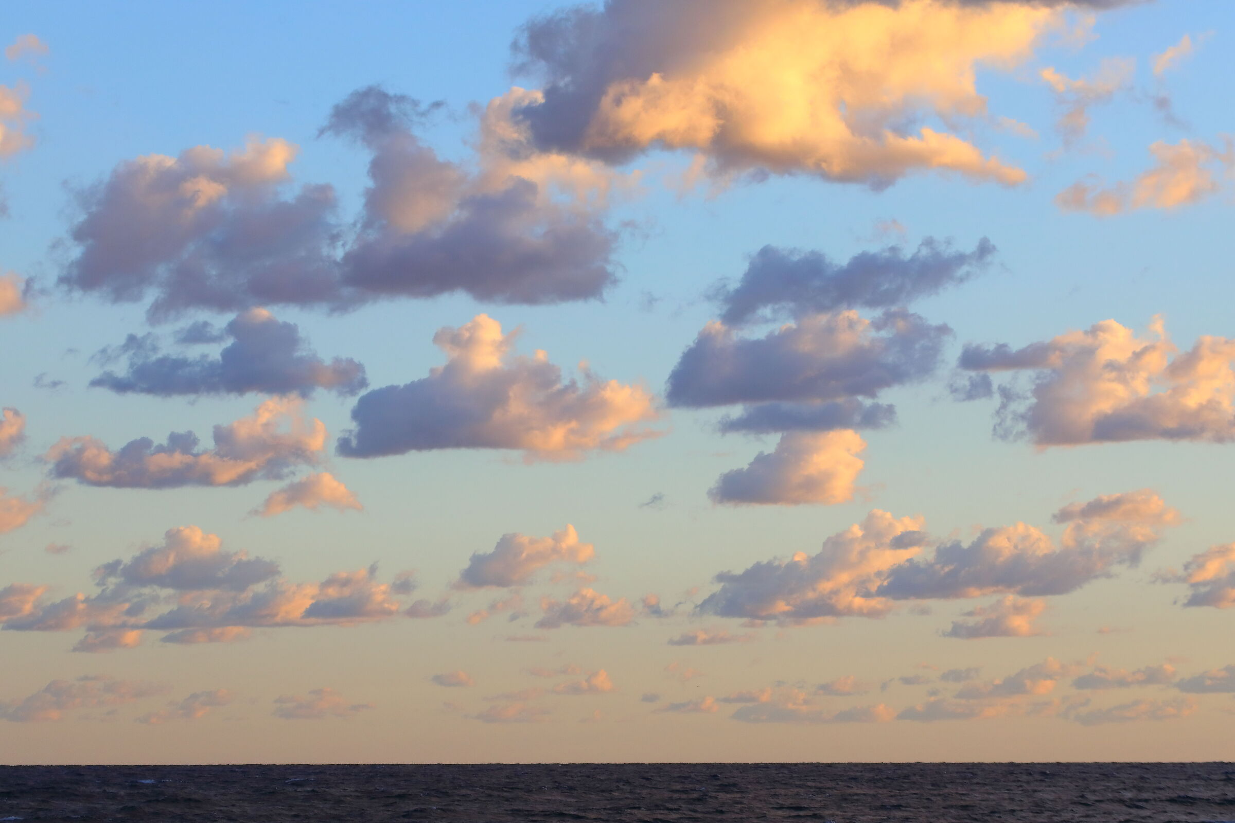 Pecorelle 07 ottobre 2025 - 0398