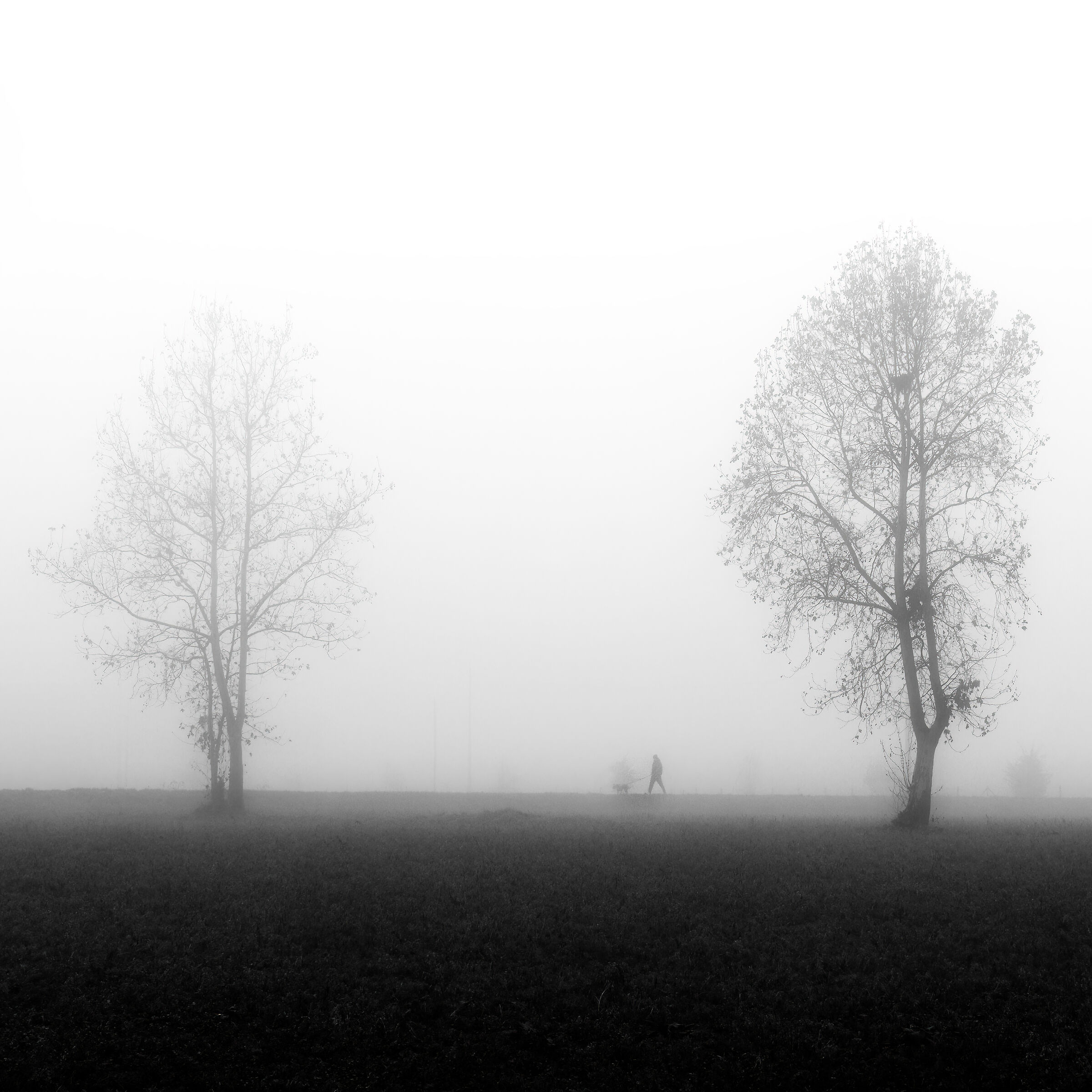 Walking in the fog