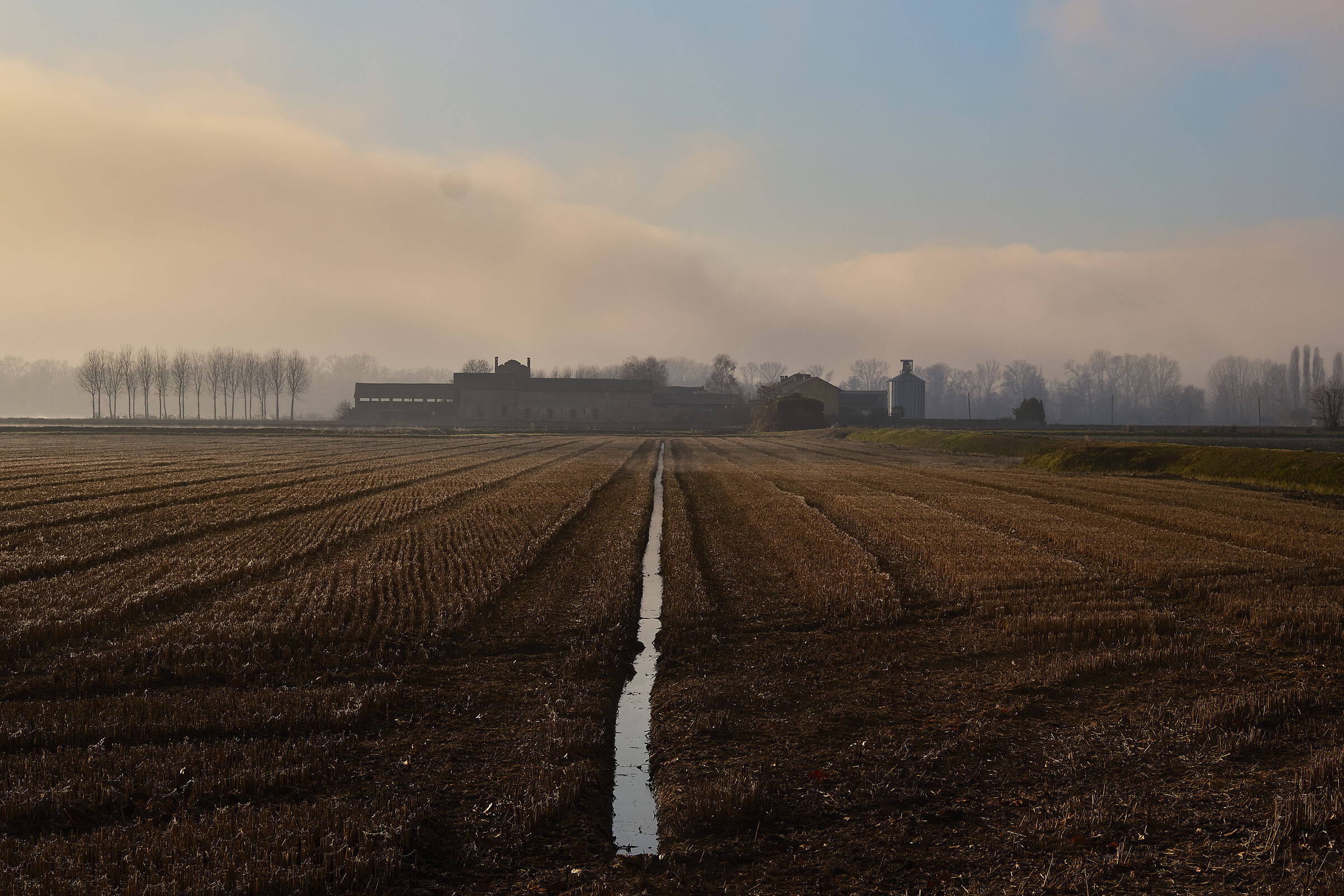 La nebbia avanza