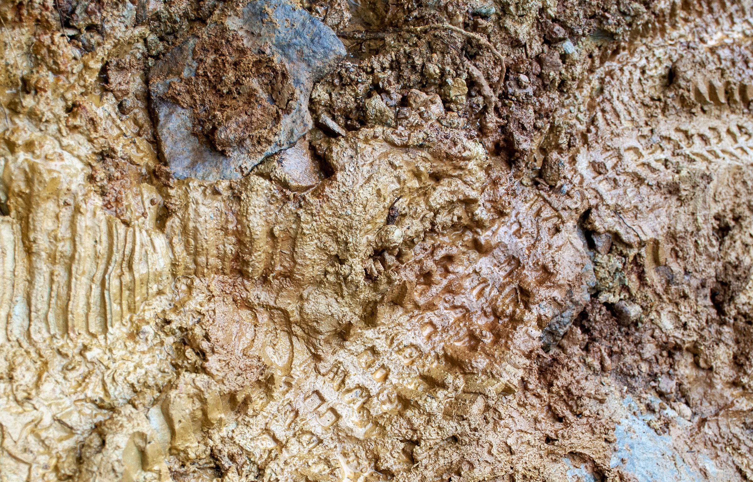 Clay and footprints