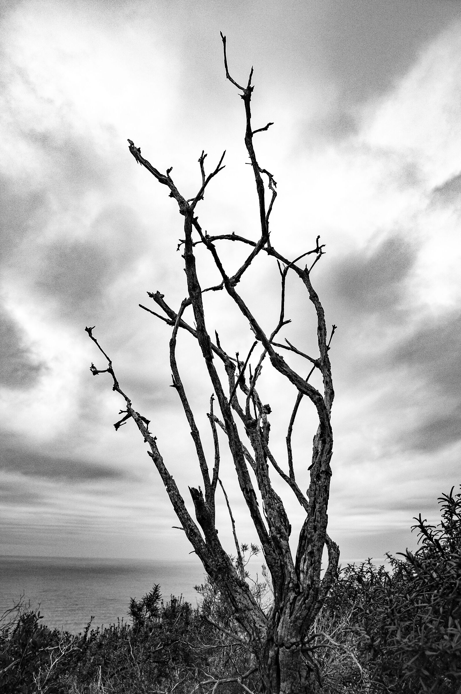 dry dry