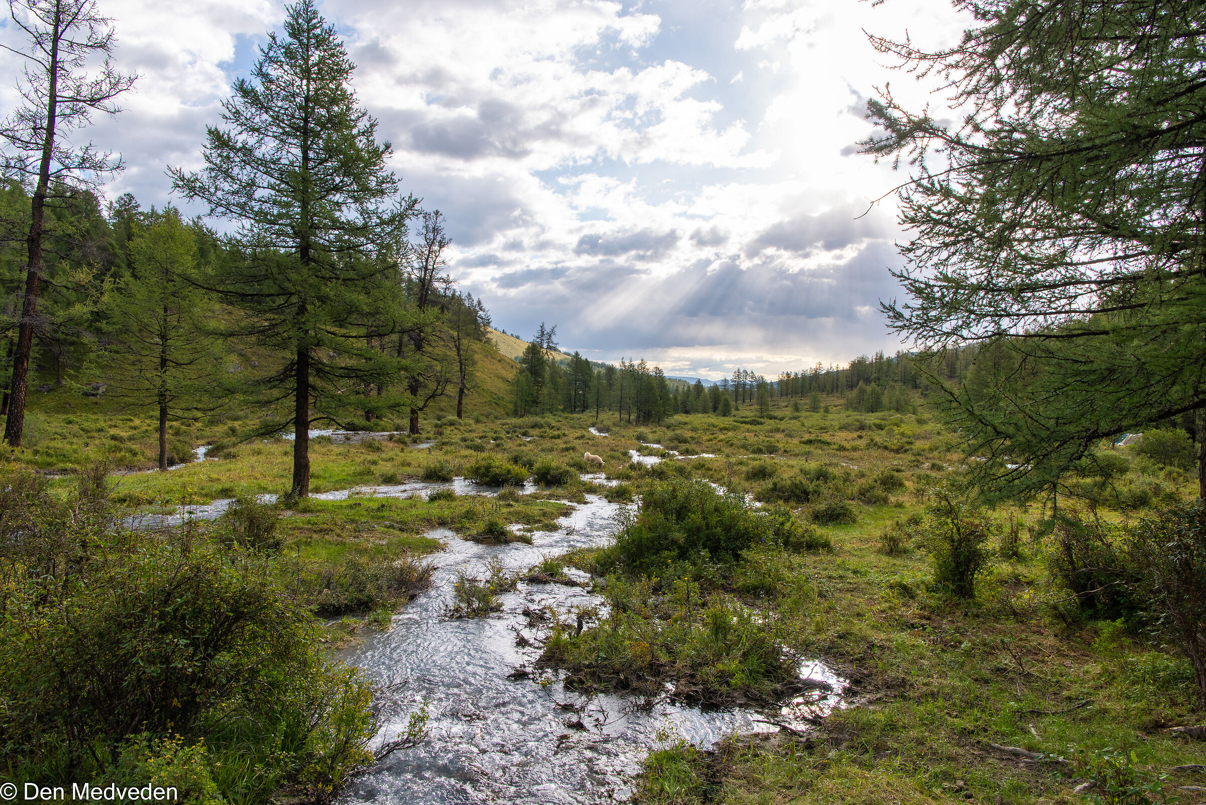 Trekking in Montagna