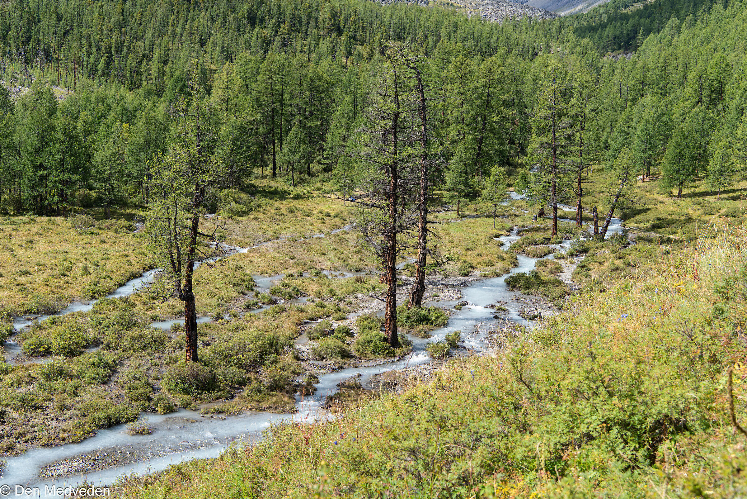 Trekking in Montagna
