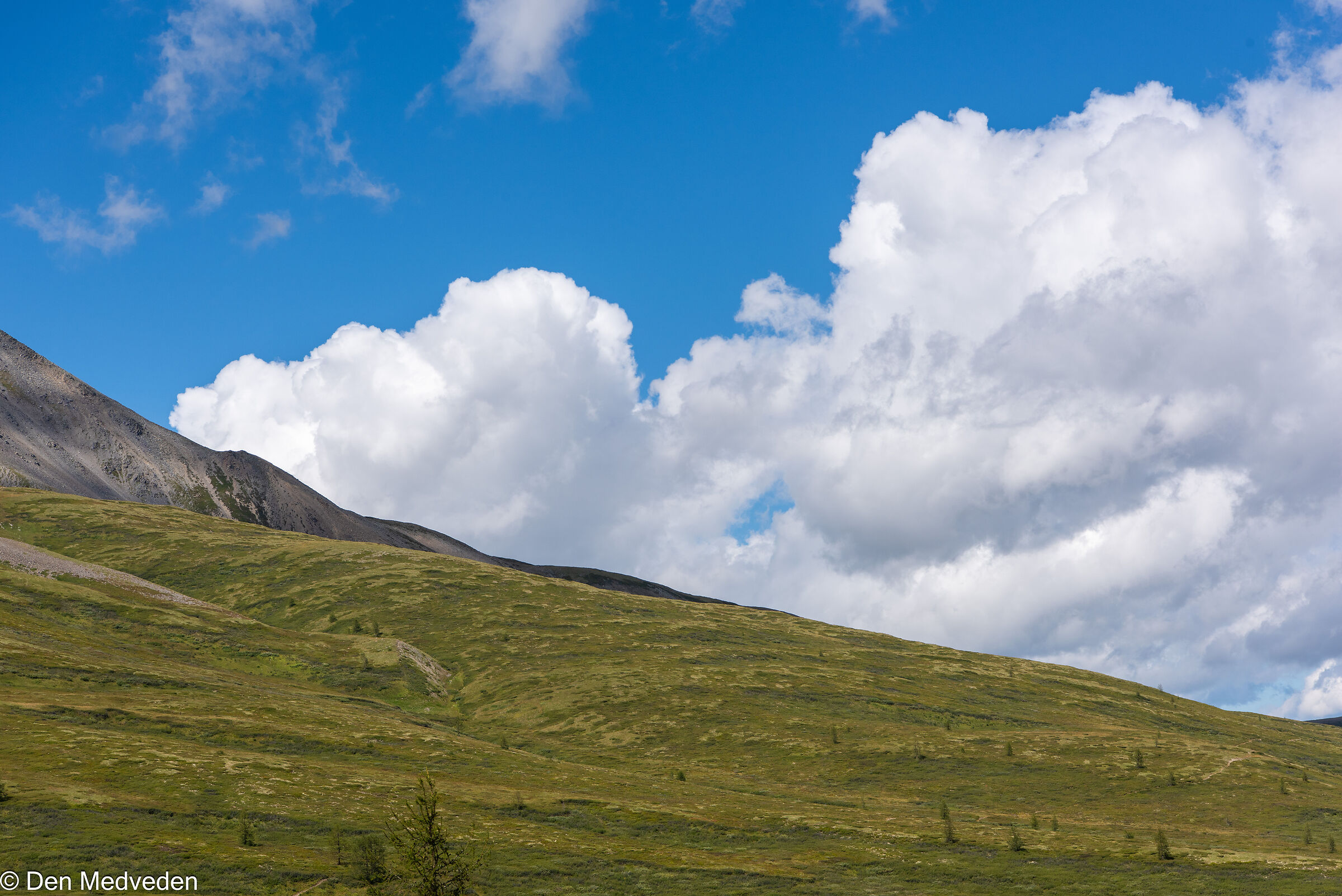 Trekking in Montagna