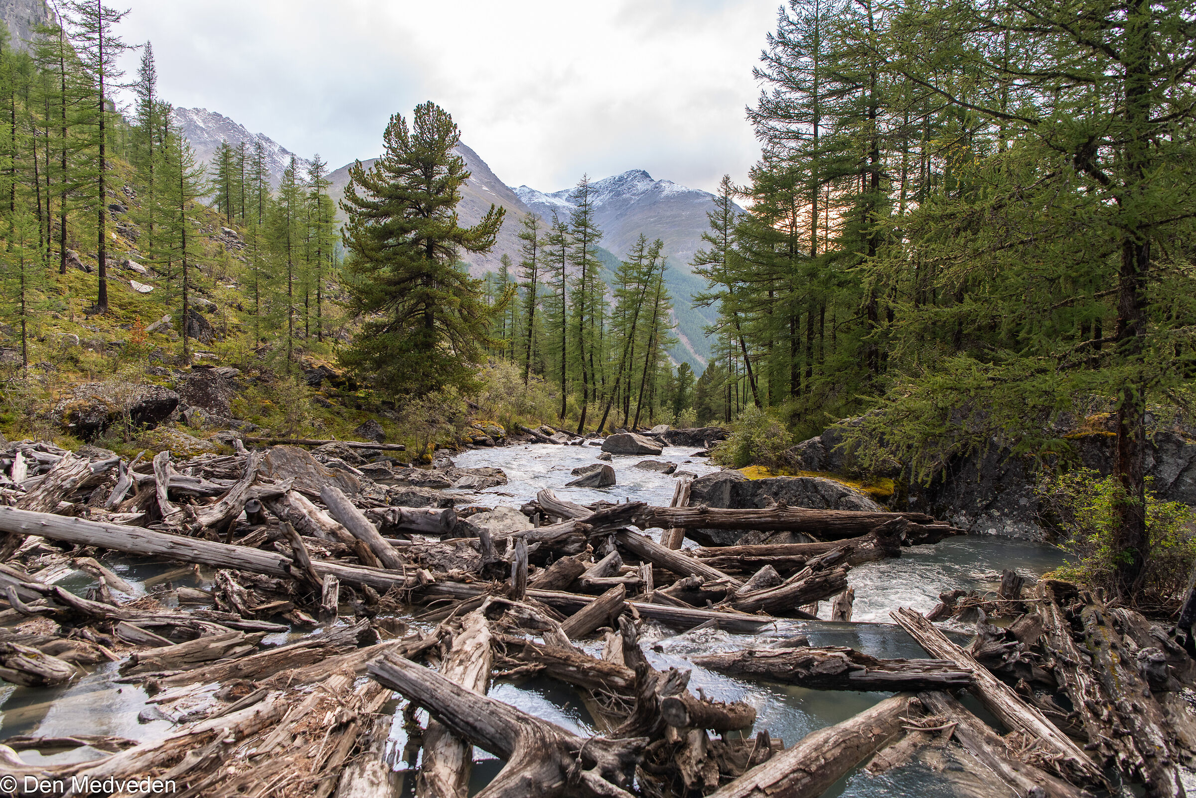 Trekking in Montagna