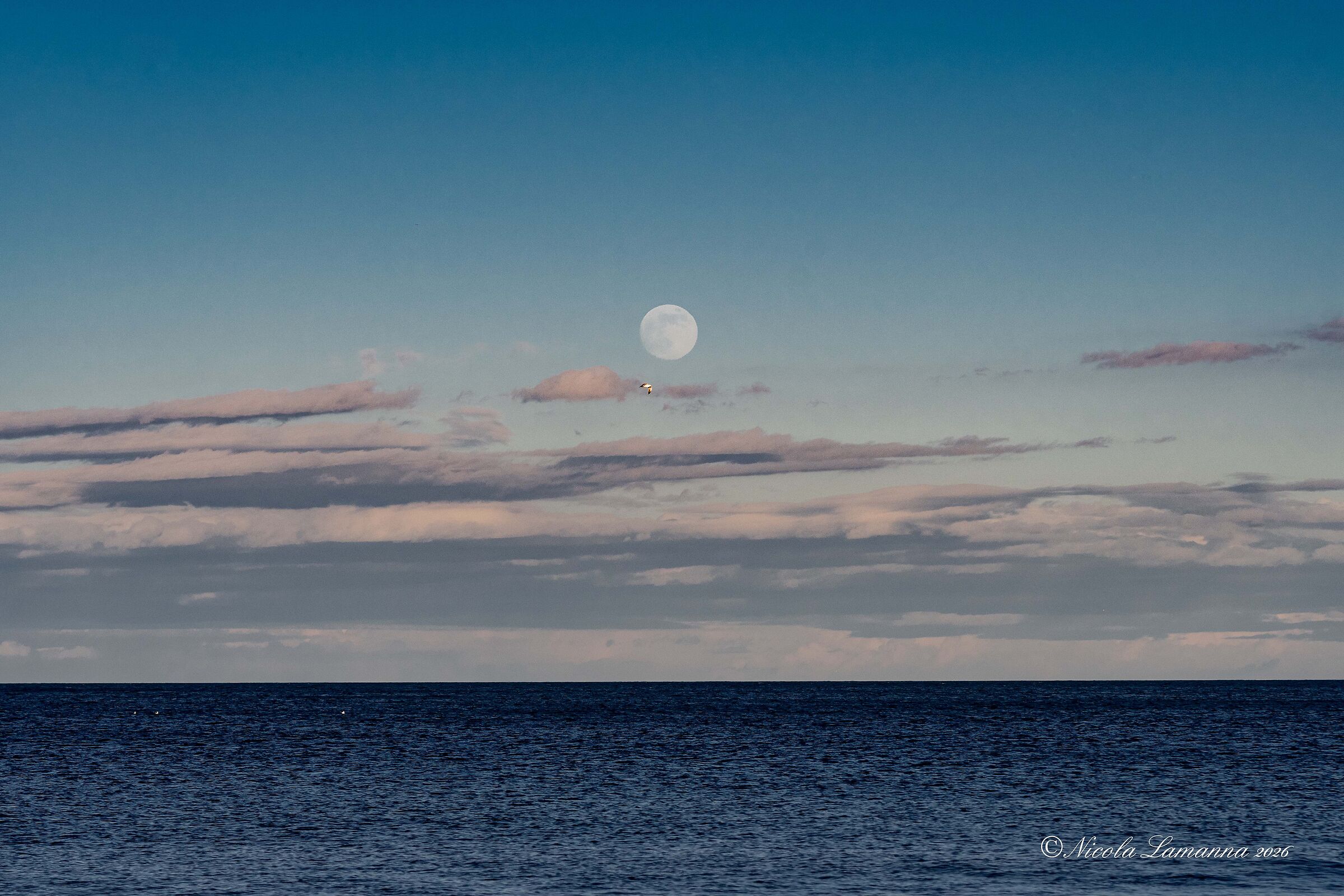 TARMONTO WITH THE MOON My first solitary walk