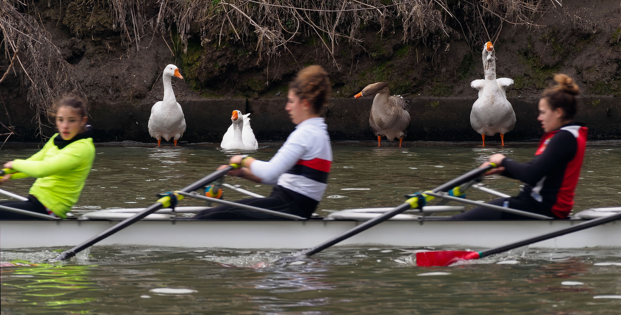 Sportivi e spettatori.