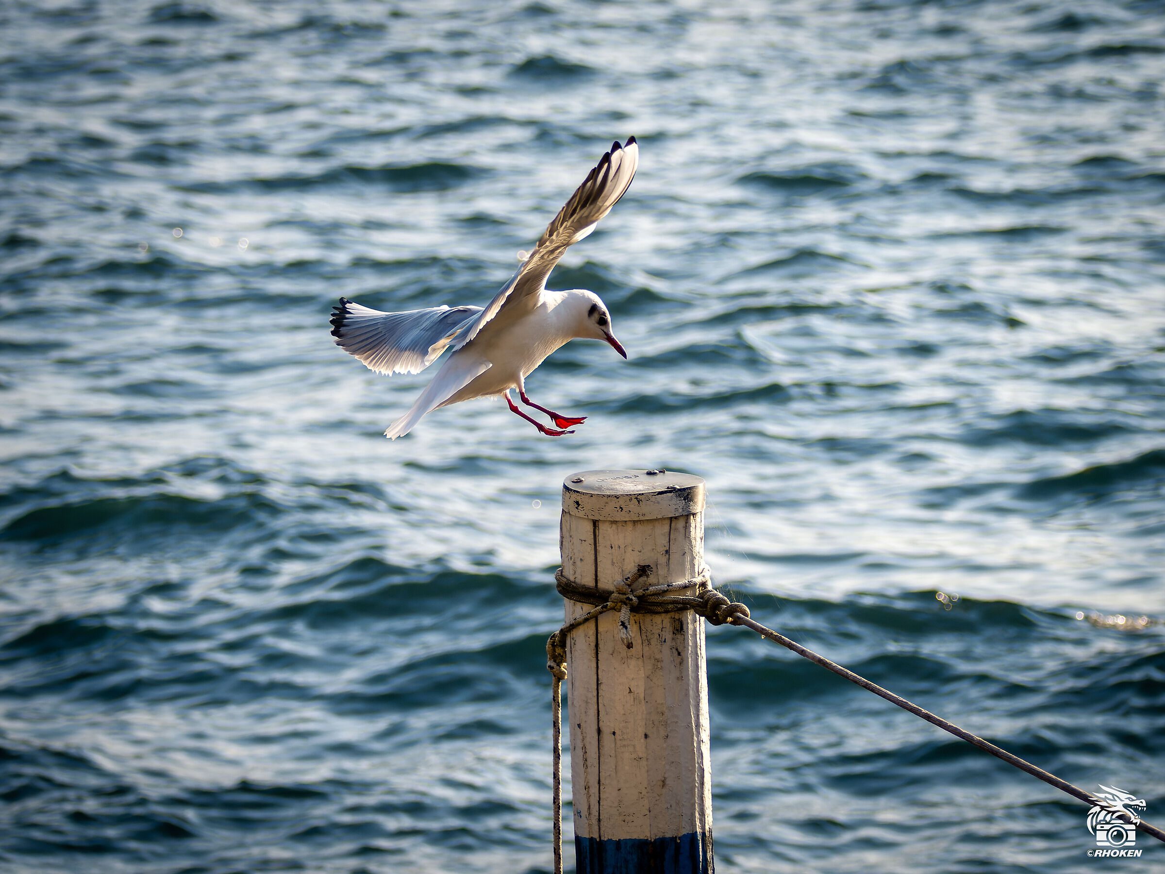 Landing