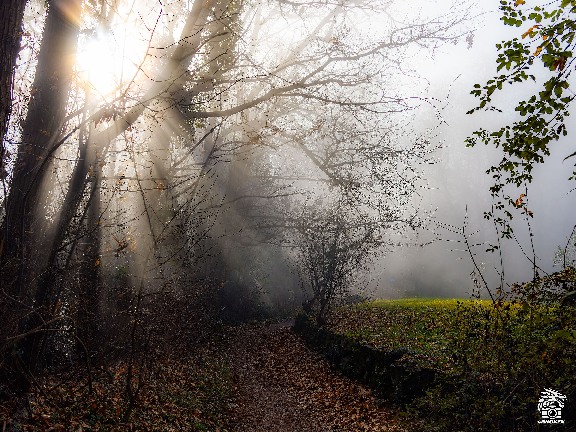 Foggy path