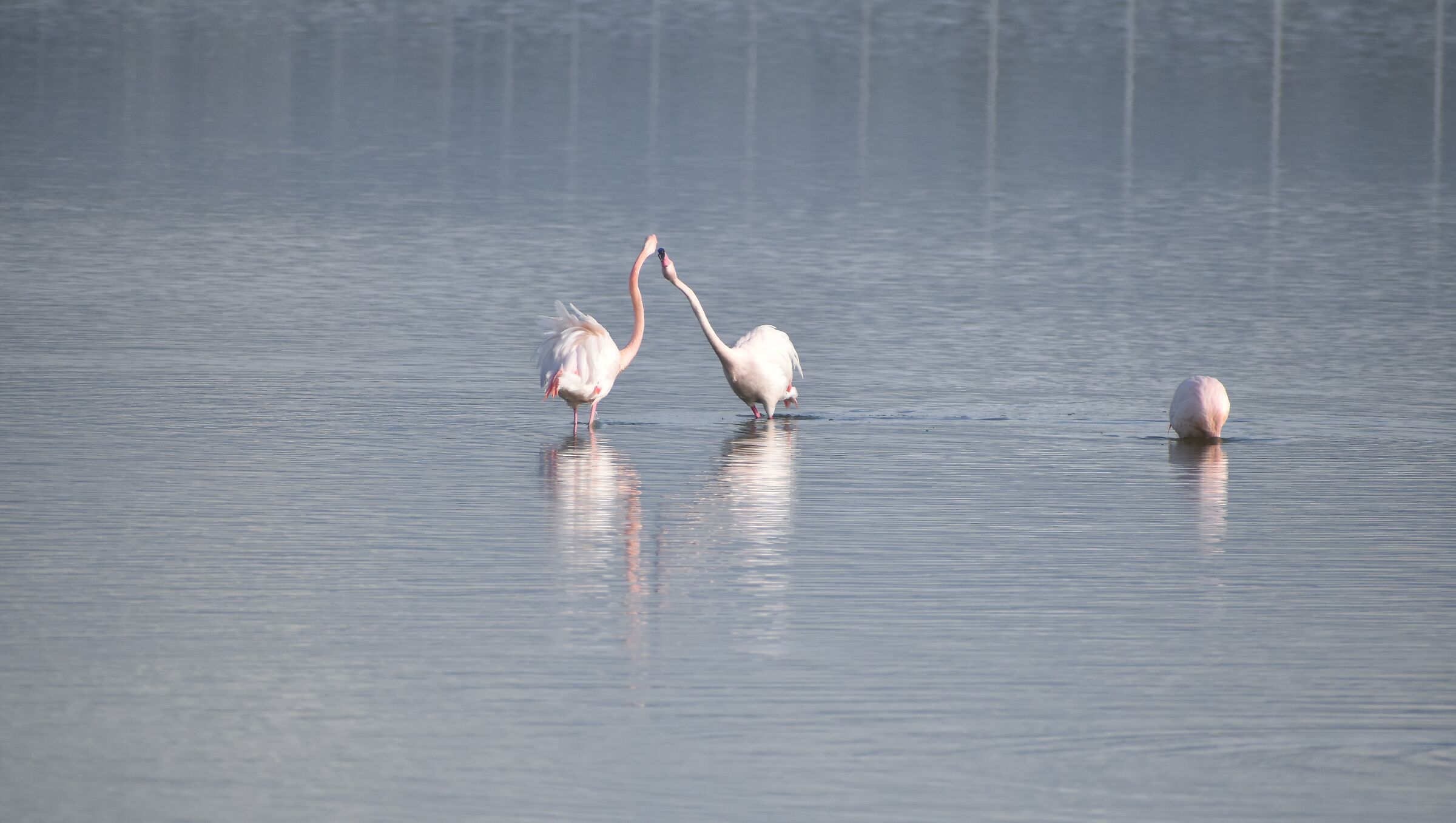 " Smettetela tutti e due"