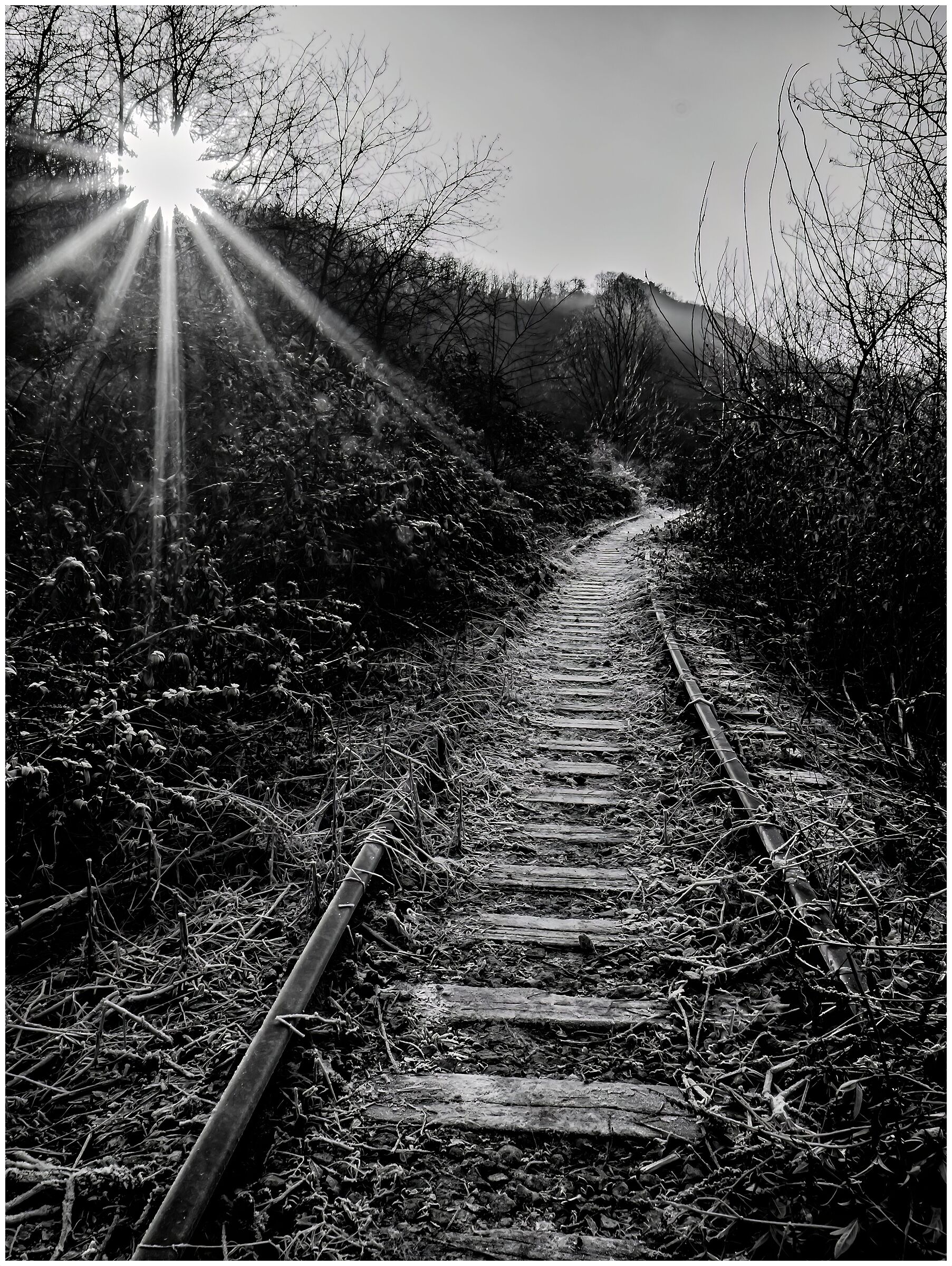 (Valmorena) Vecchio binario abbandonato