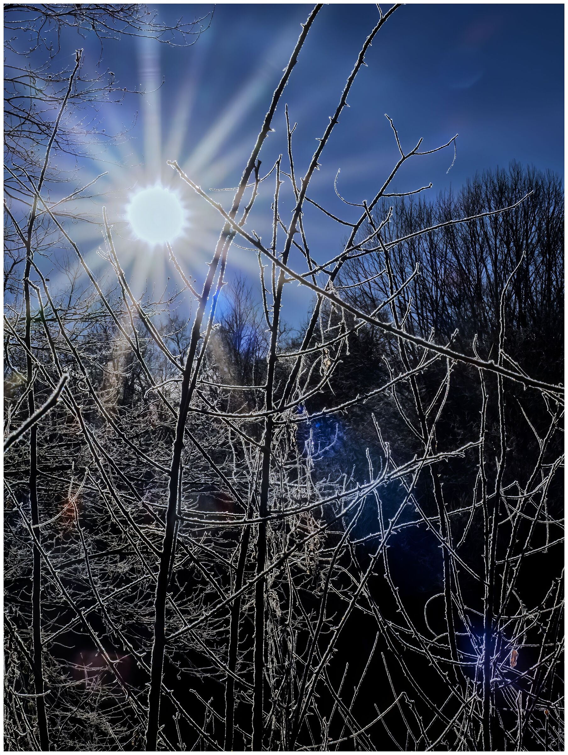 Le prime luci dell'alba