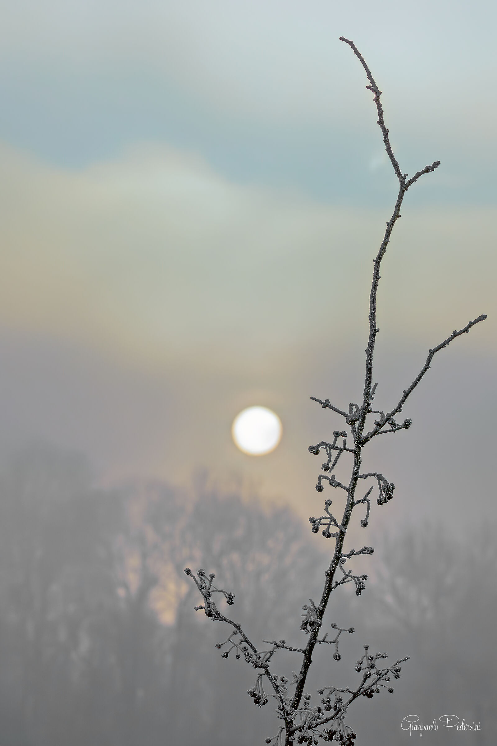 Tiepide luci di una gelida mattina invernale