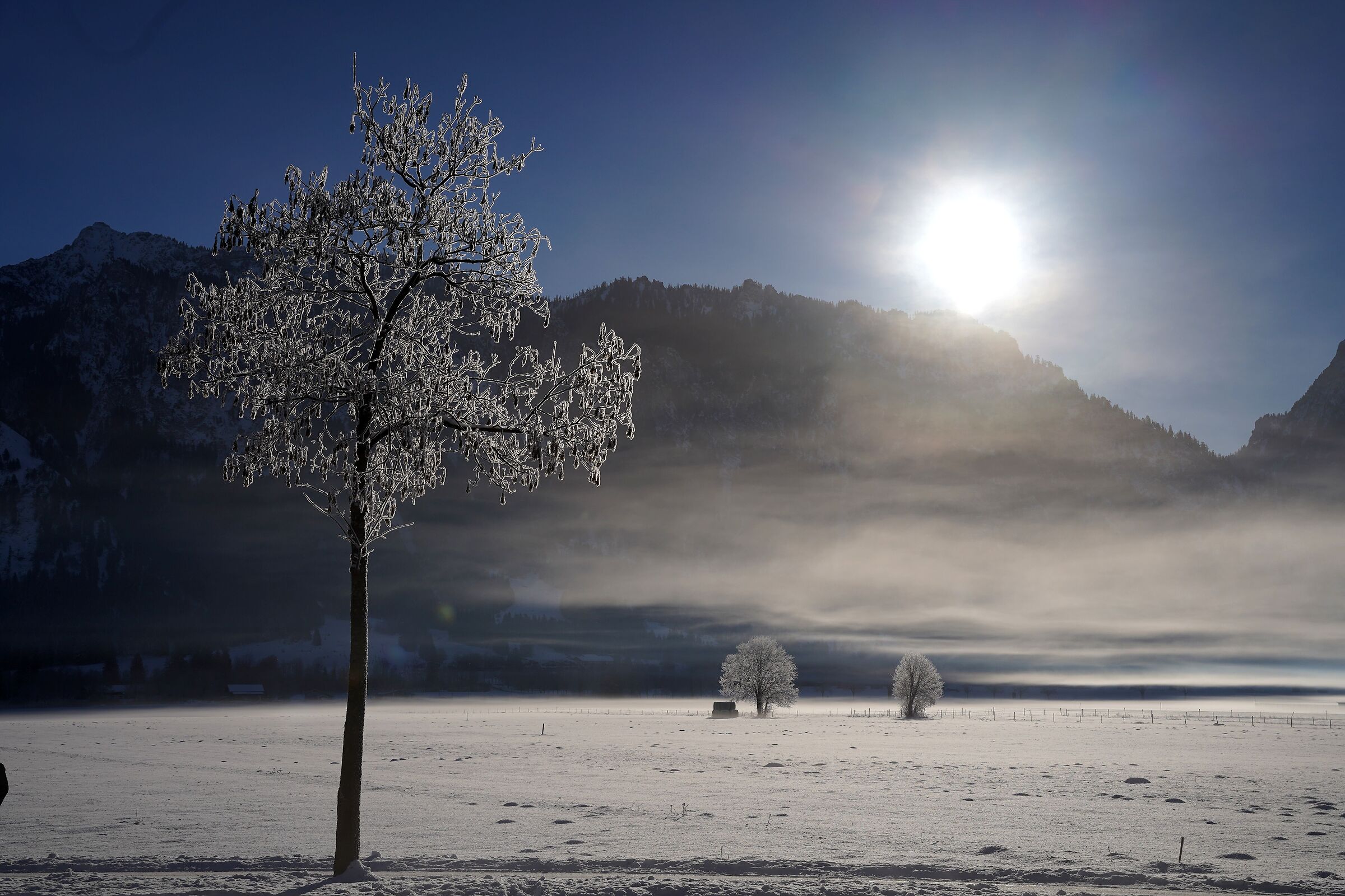 Untitled Photo
