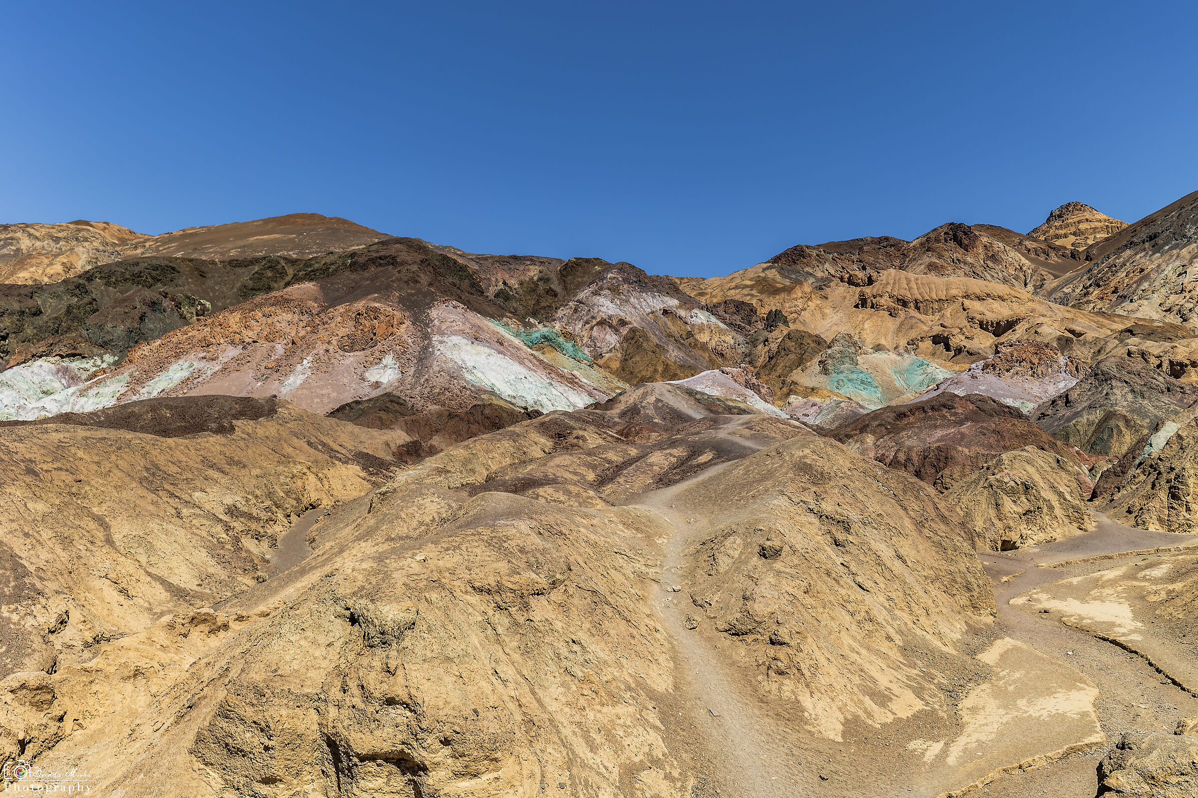 Artist's Palette