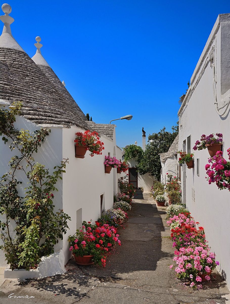 A day ... among the trulli - 3