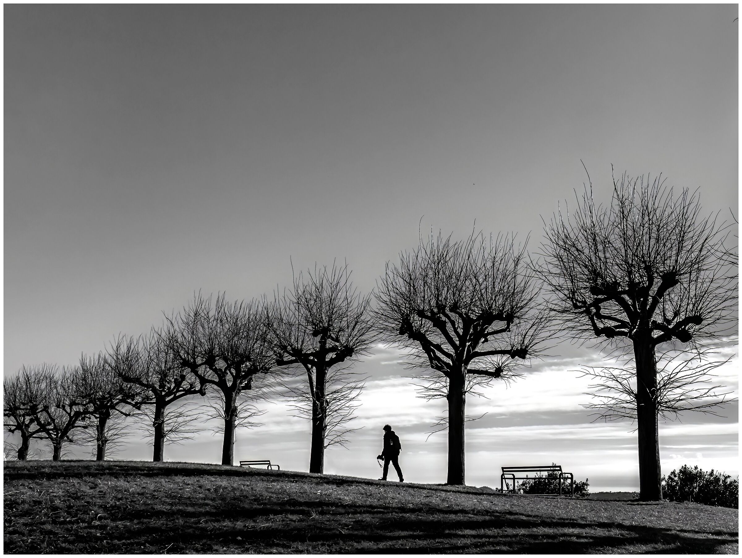 Passegiata in montagna