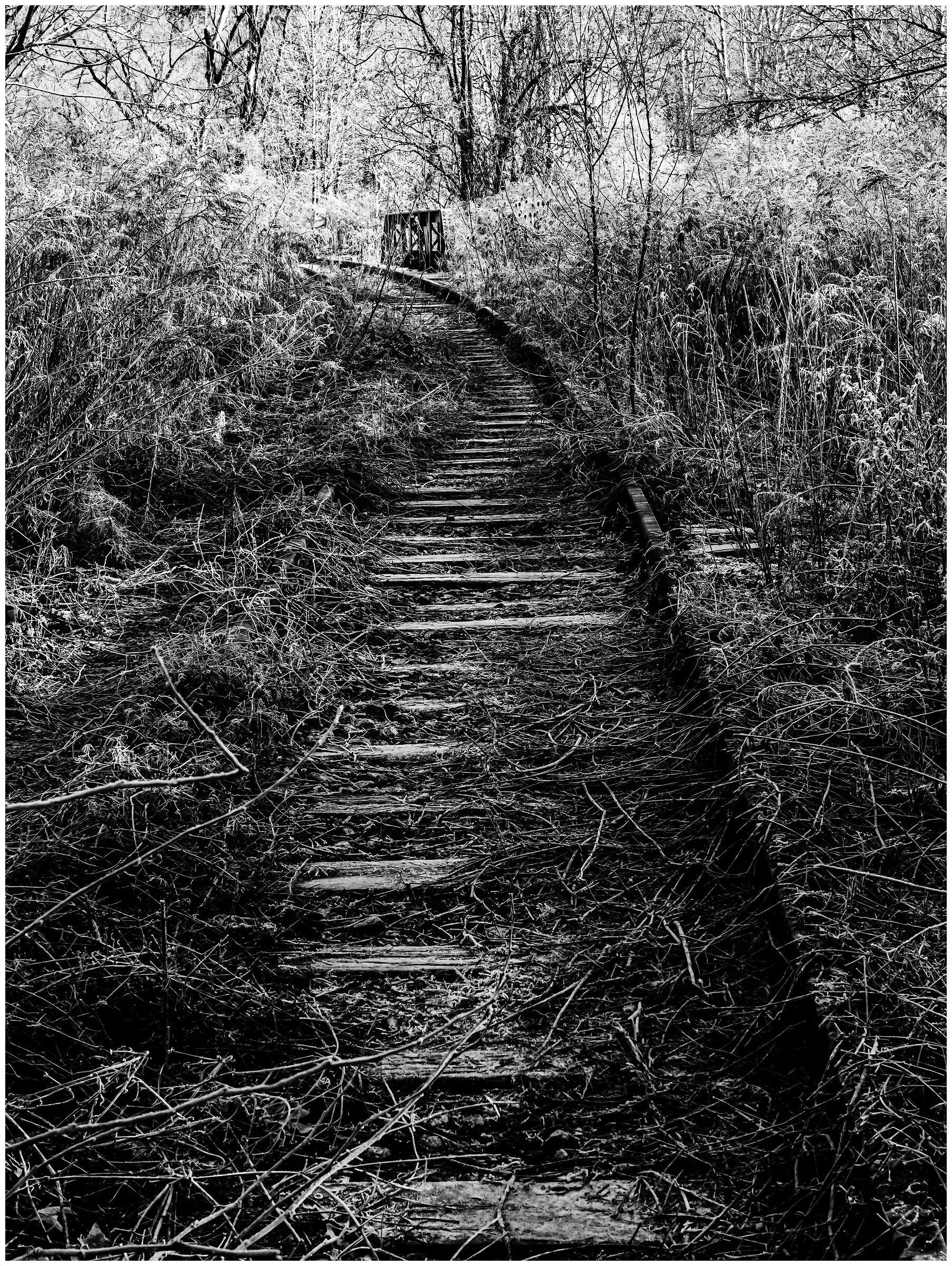 Quel treno che non passerà più!