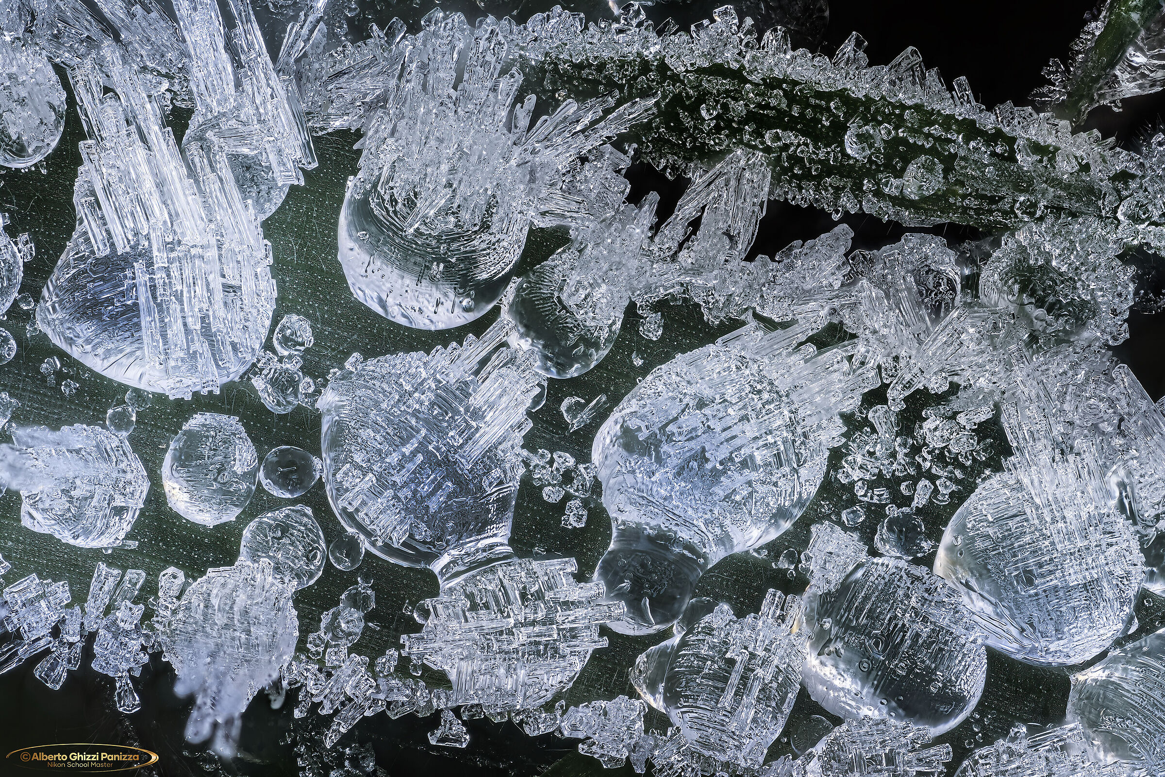 Rugiada ghiacciata e brina