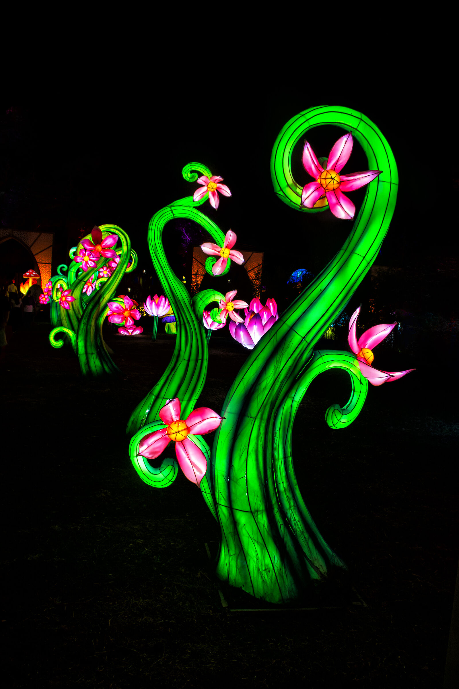 Piante luminose