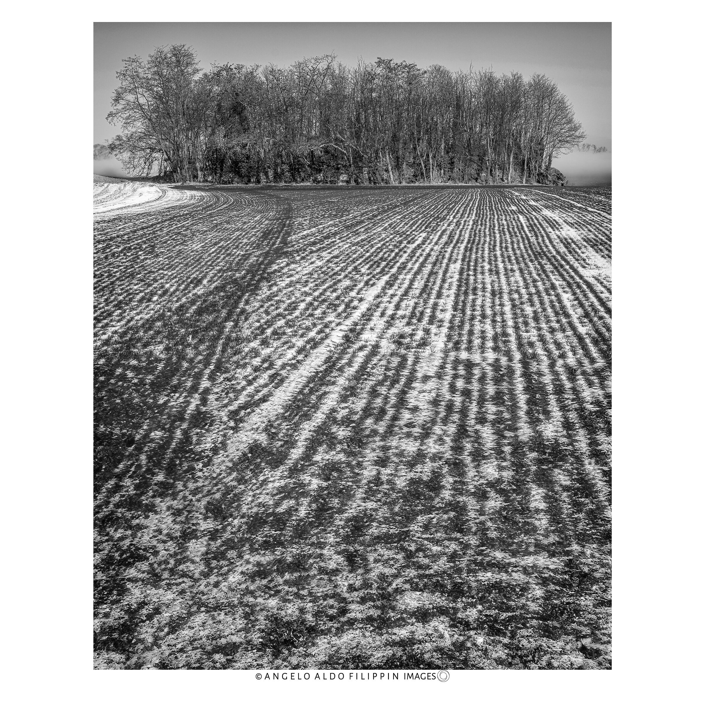 Veneto 2010