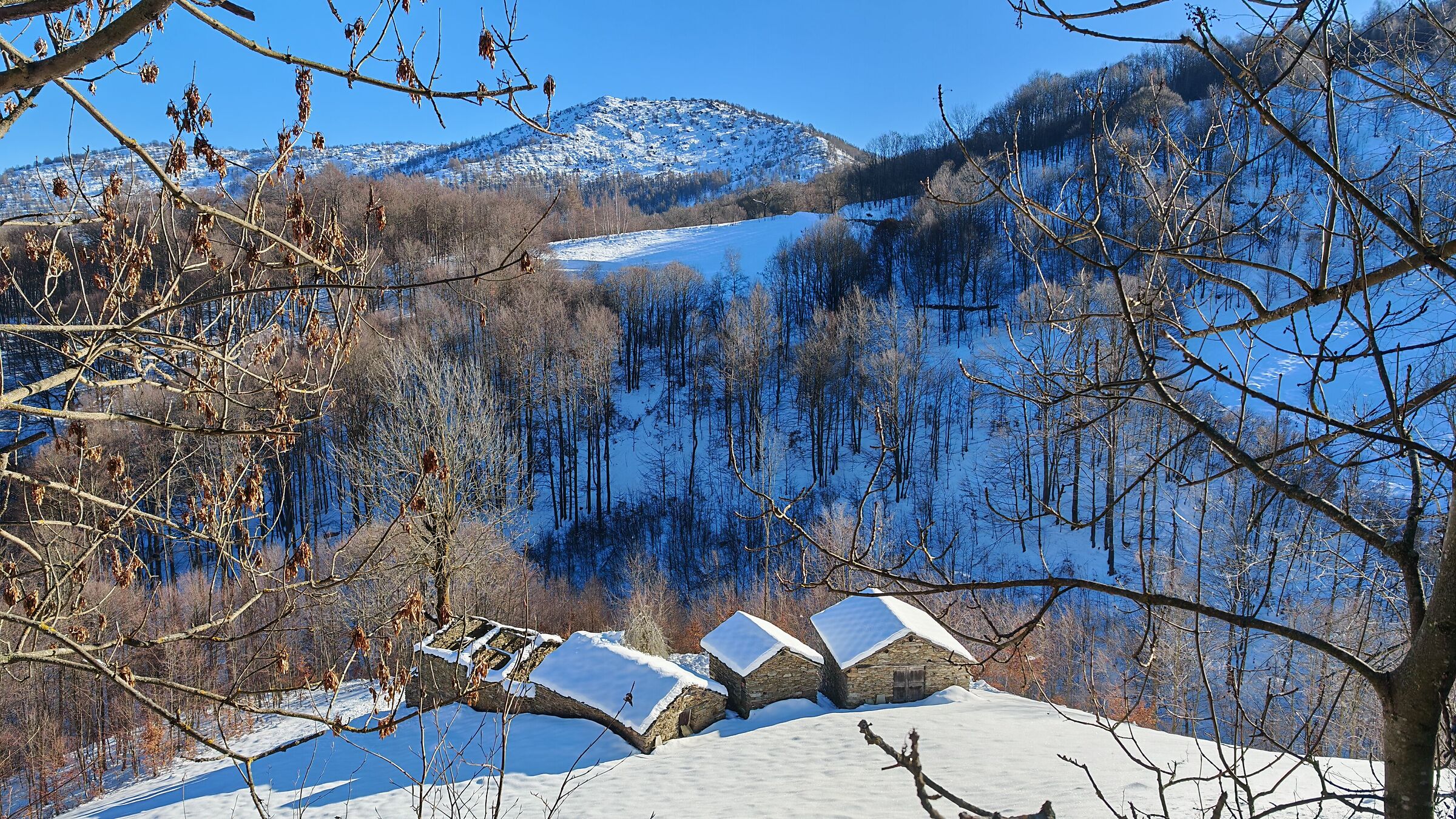 The isolated houses