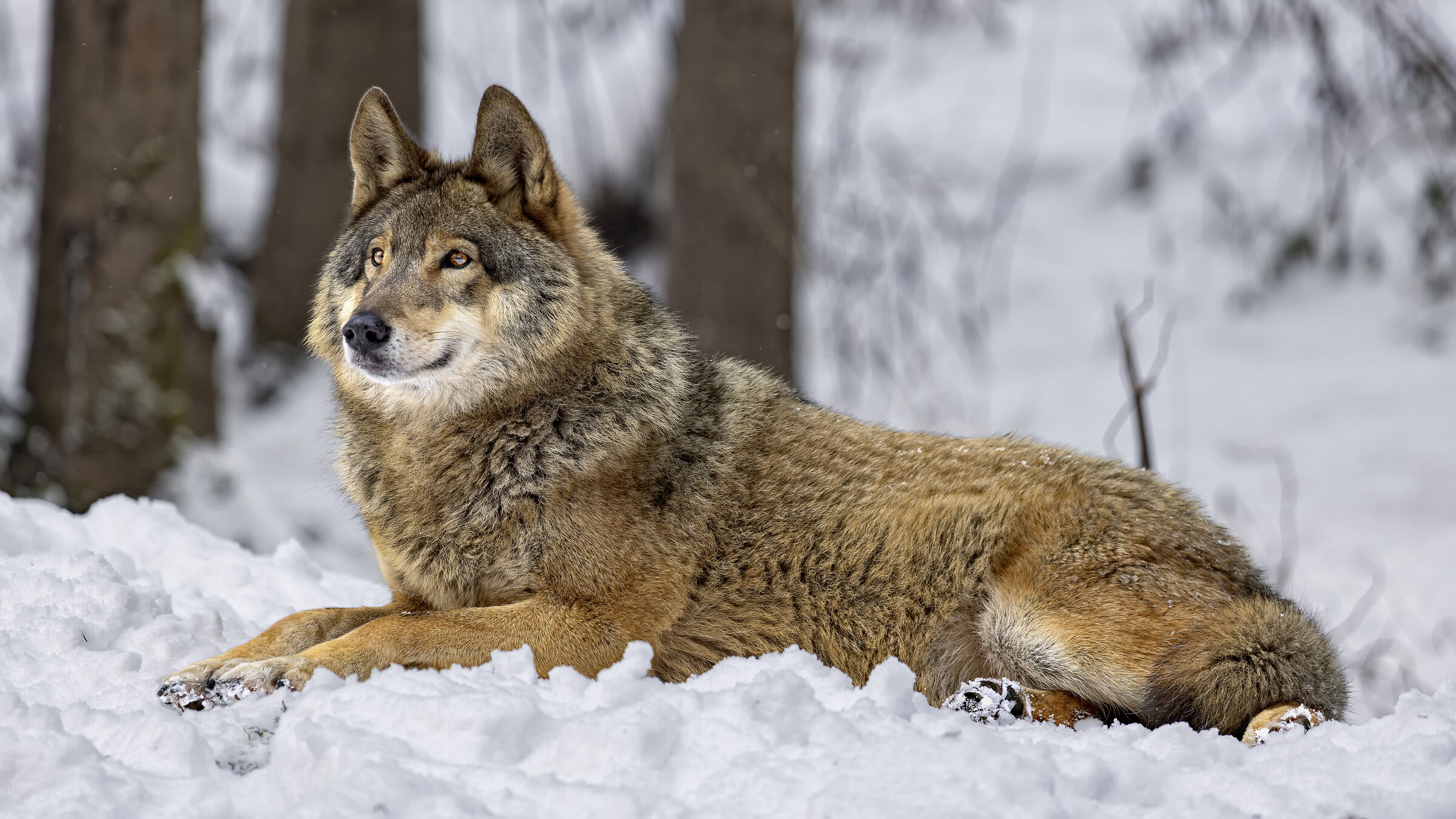 Unexpected encounter....