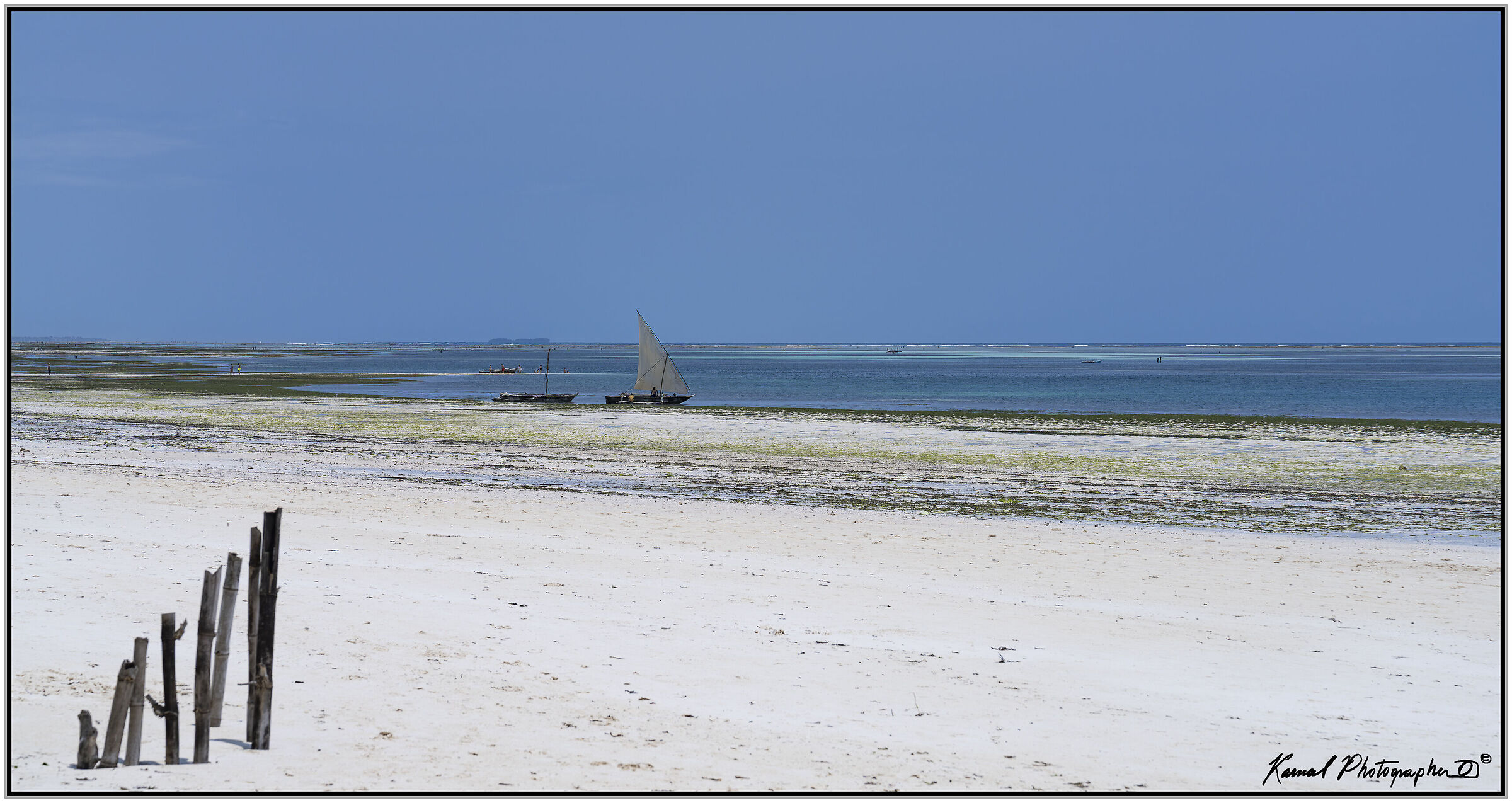 Senza Titolo