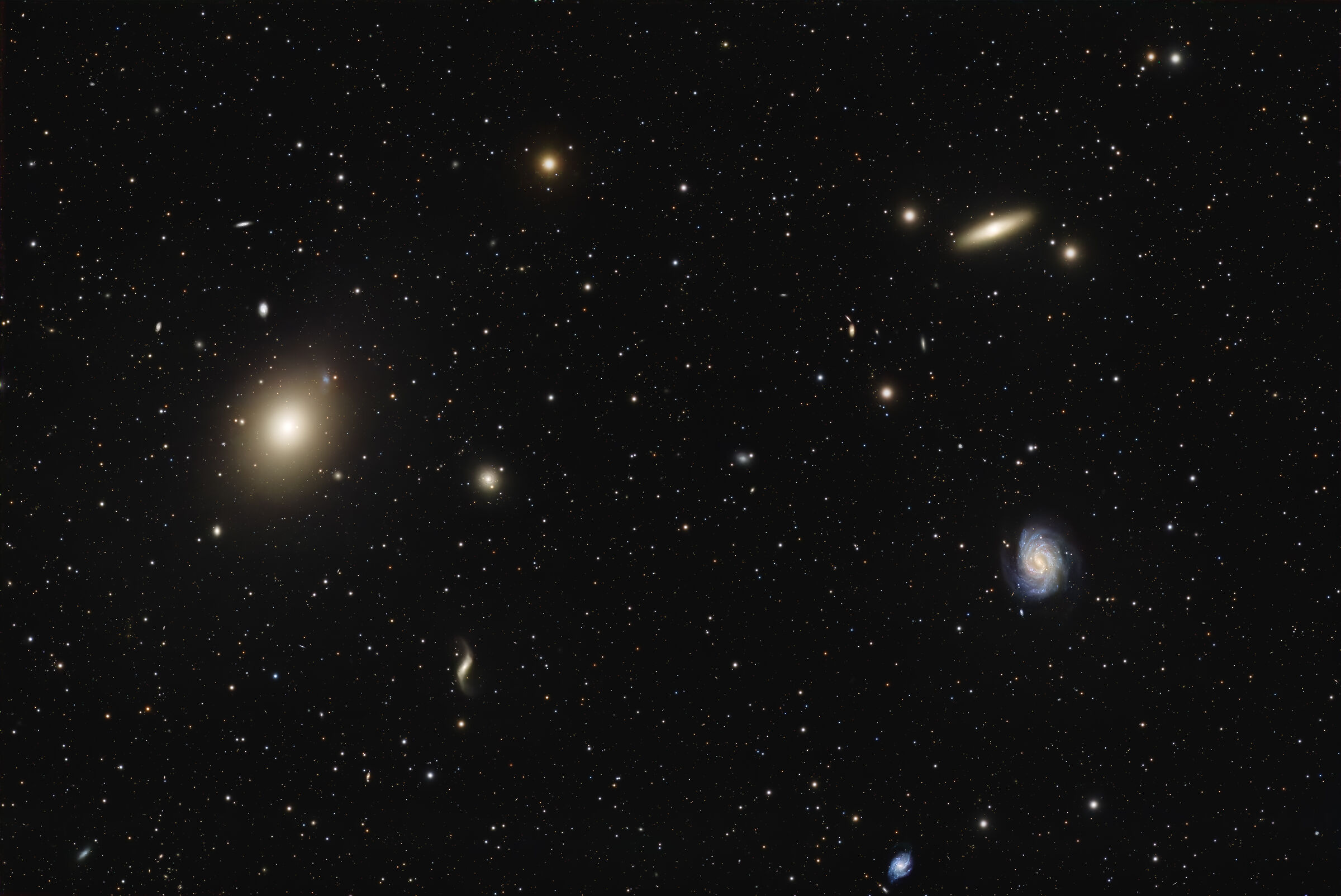 Field of galaxies
