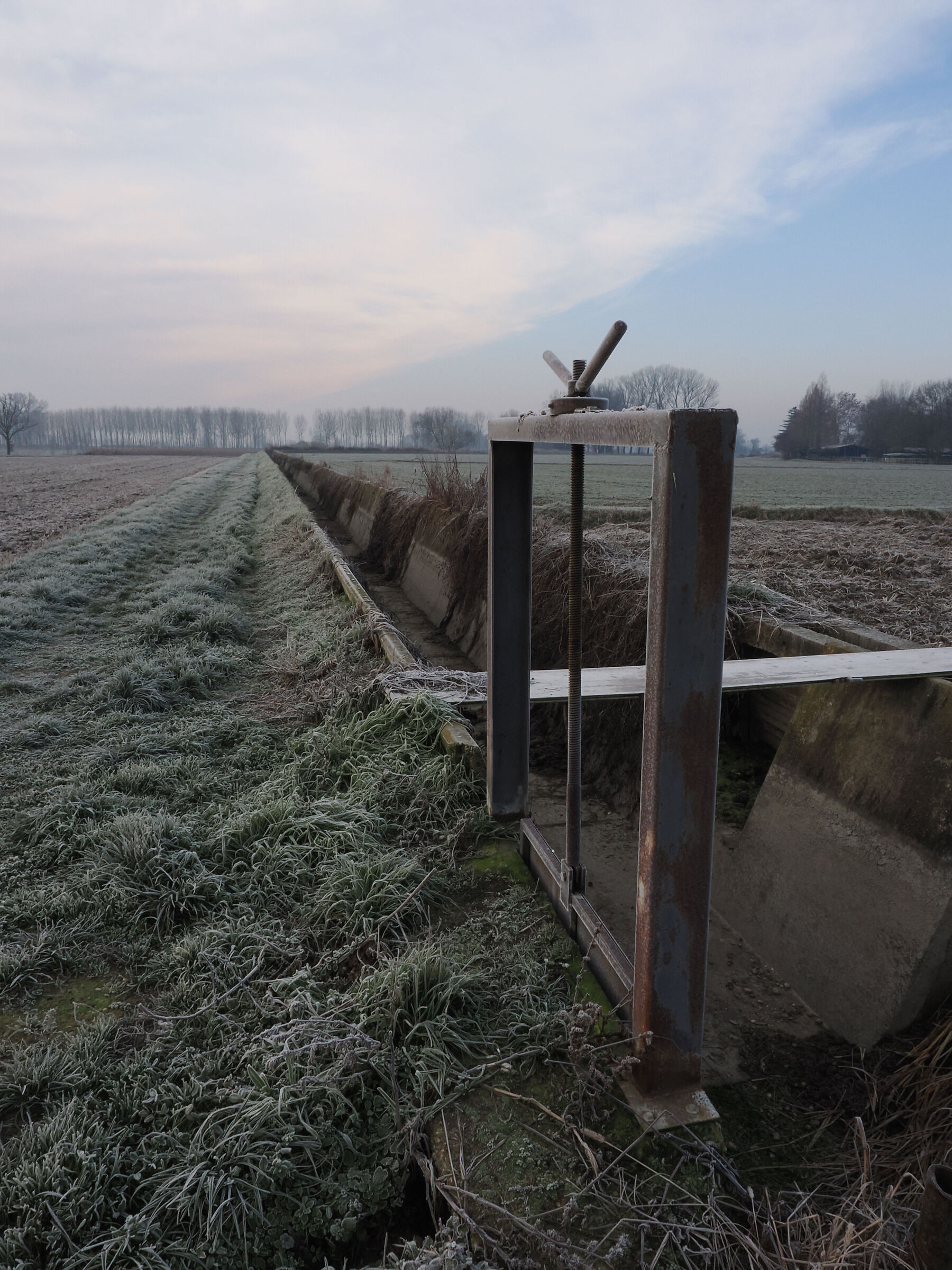 Tutto era congelato allora, persino il rumore