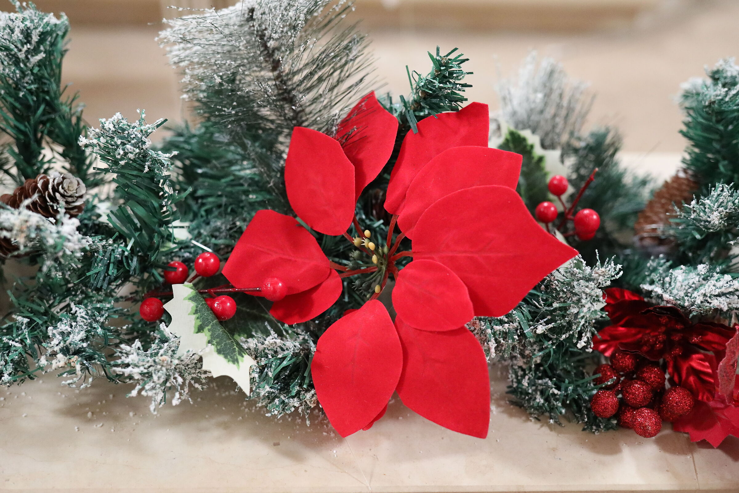 @" ISO 12 Thousand 800 " Canon 5D IV, 35 F.2 IS Usm