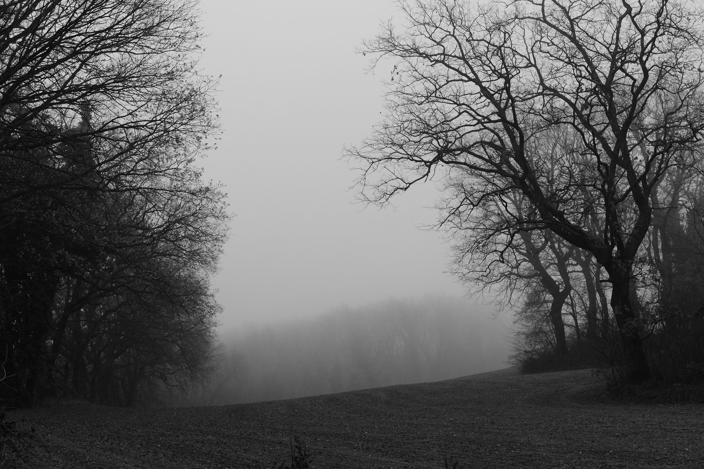 Campagna e nebbia