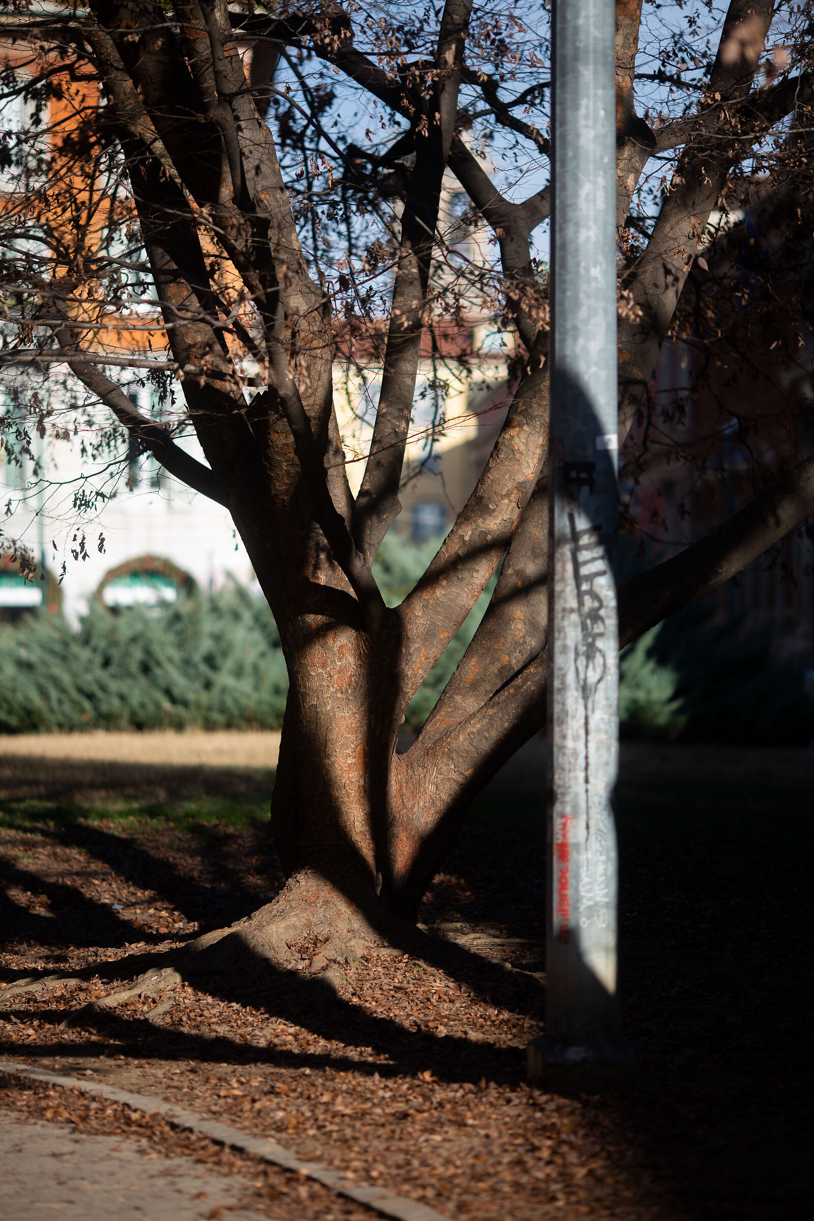 Untitled Photo