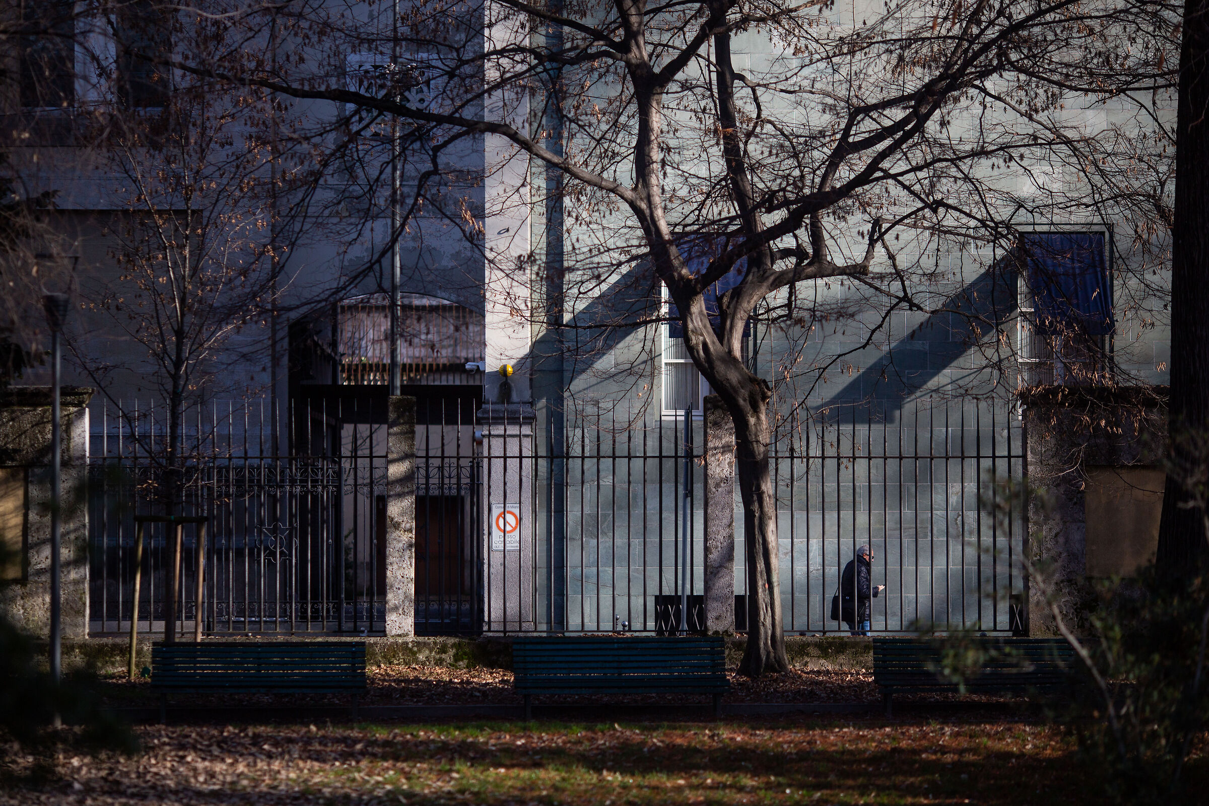 Untitled Photo