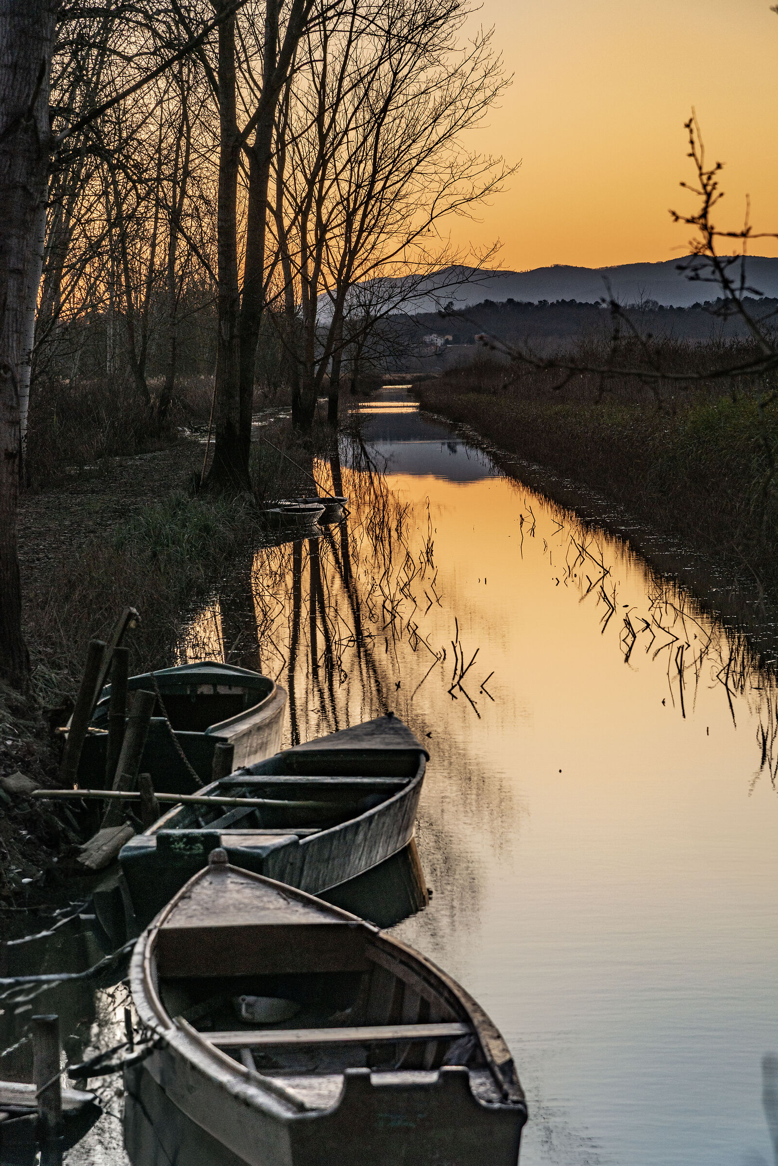Winter at the Marshes
