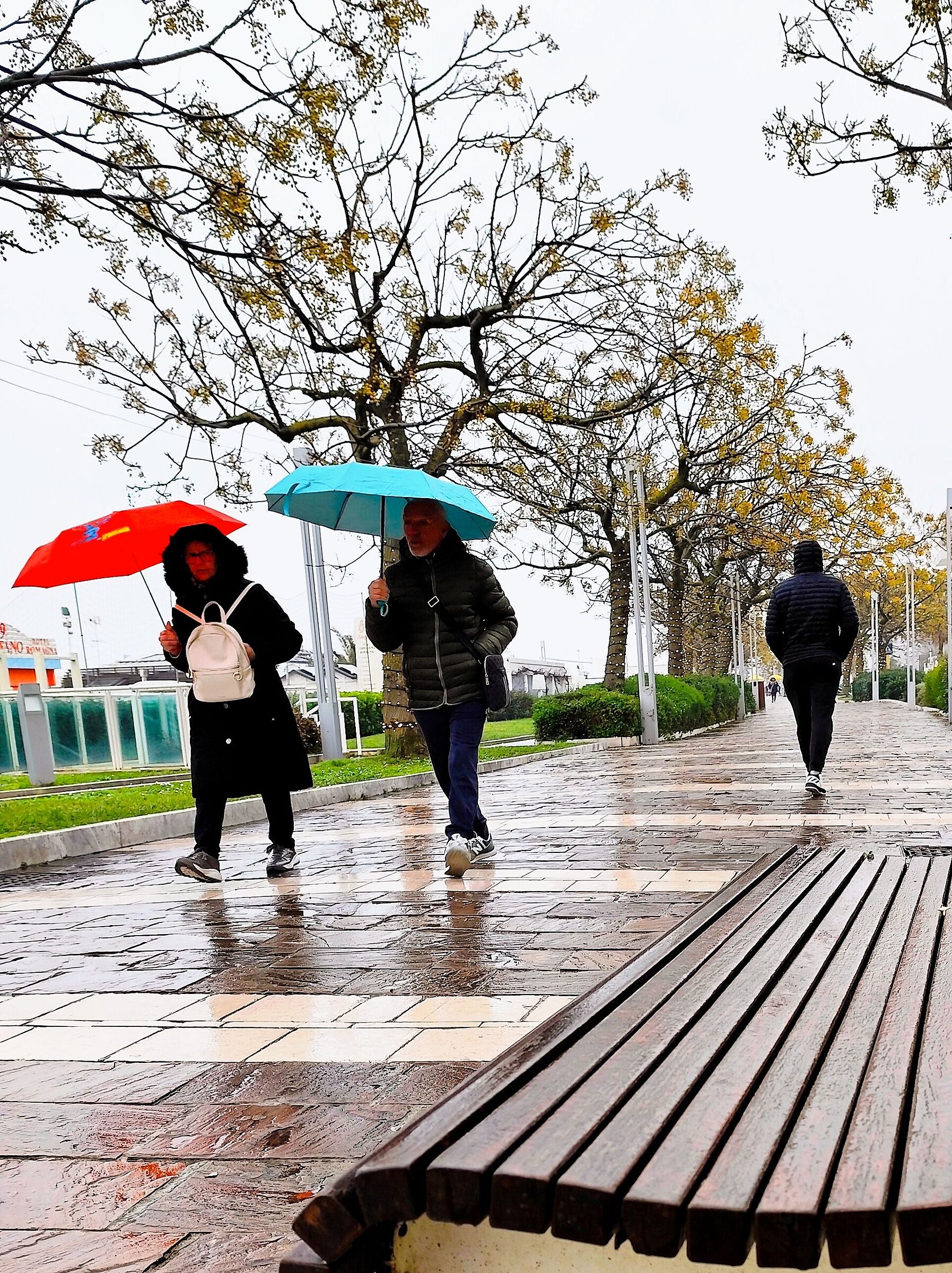 Riccione in winter 3