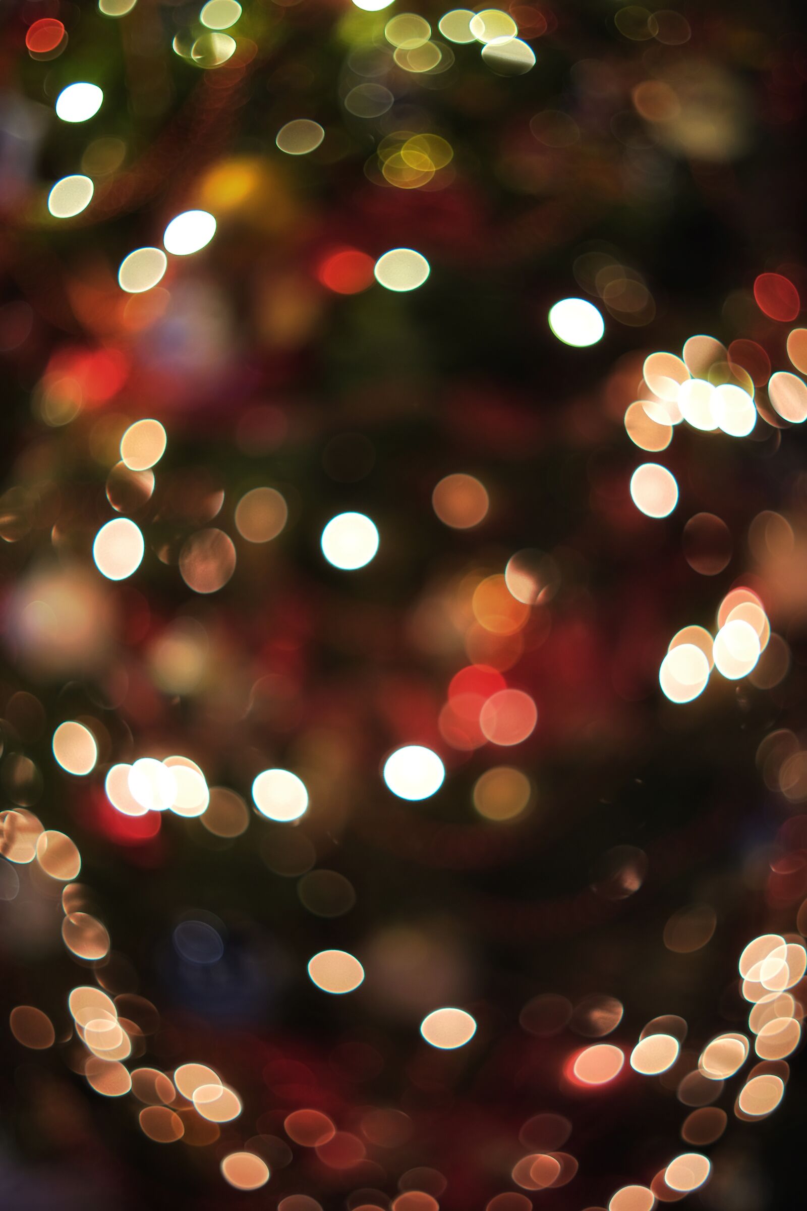 Happy Swirlmas!!