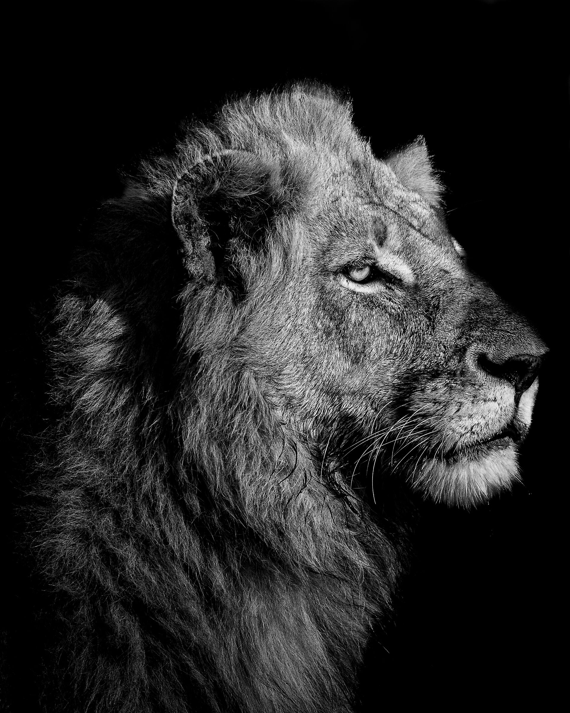 Ritratto black and white