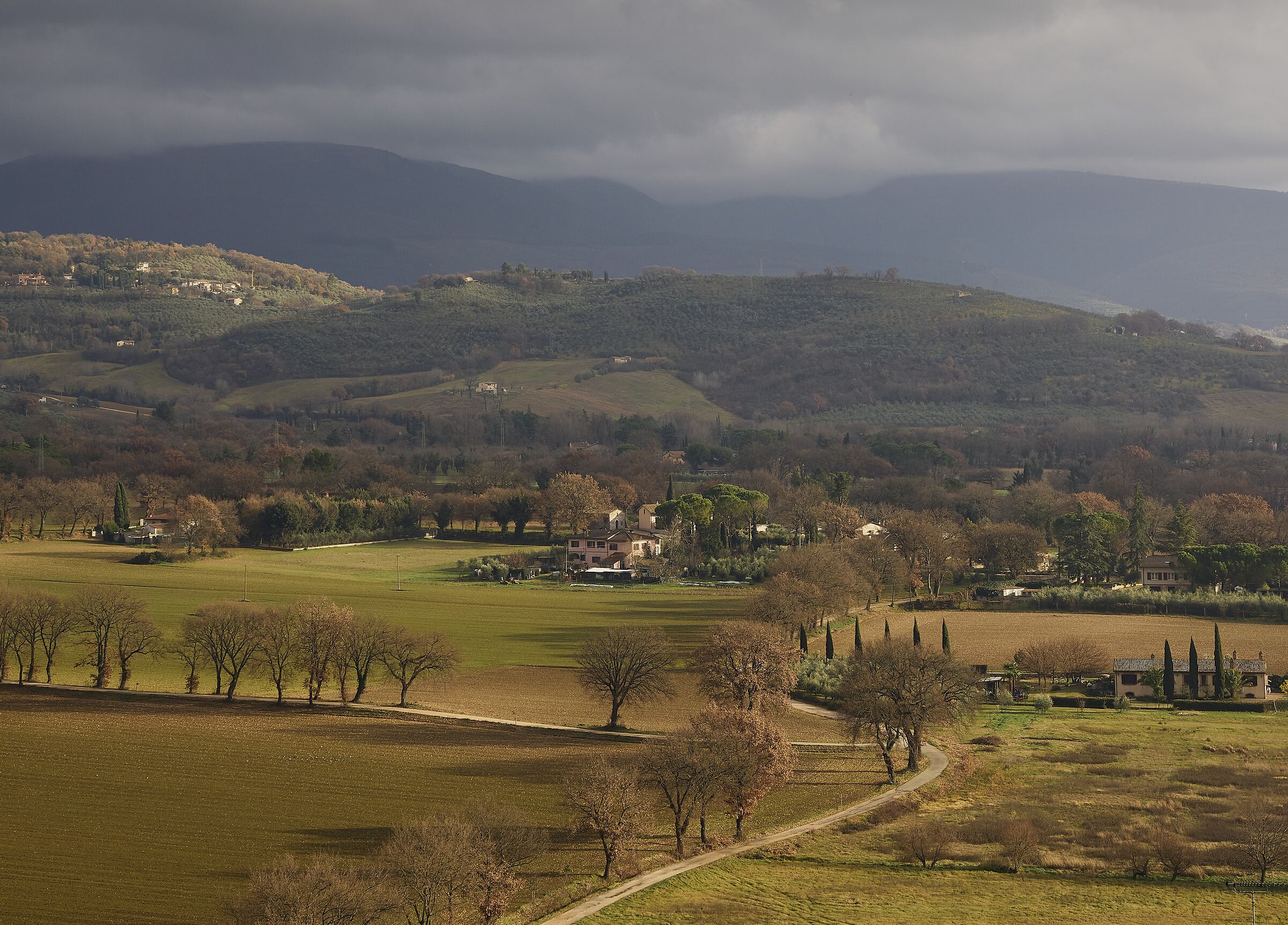 Umbrian Countryside