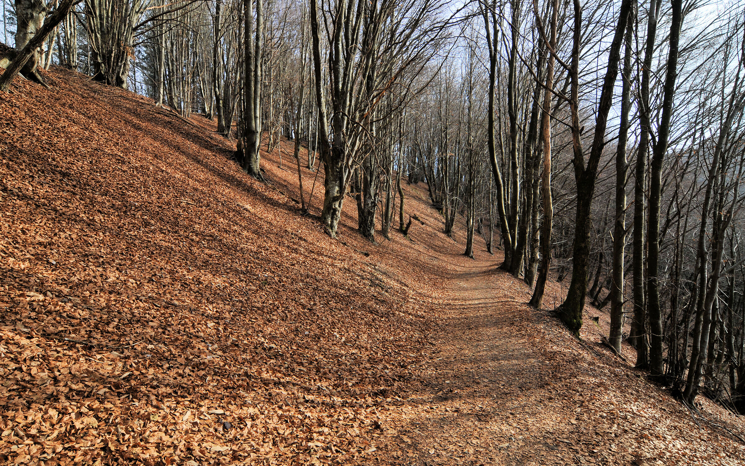 Untitled Photo