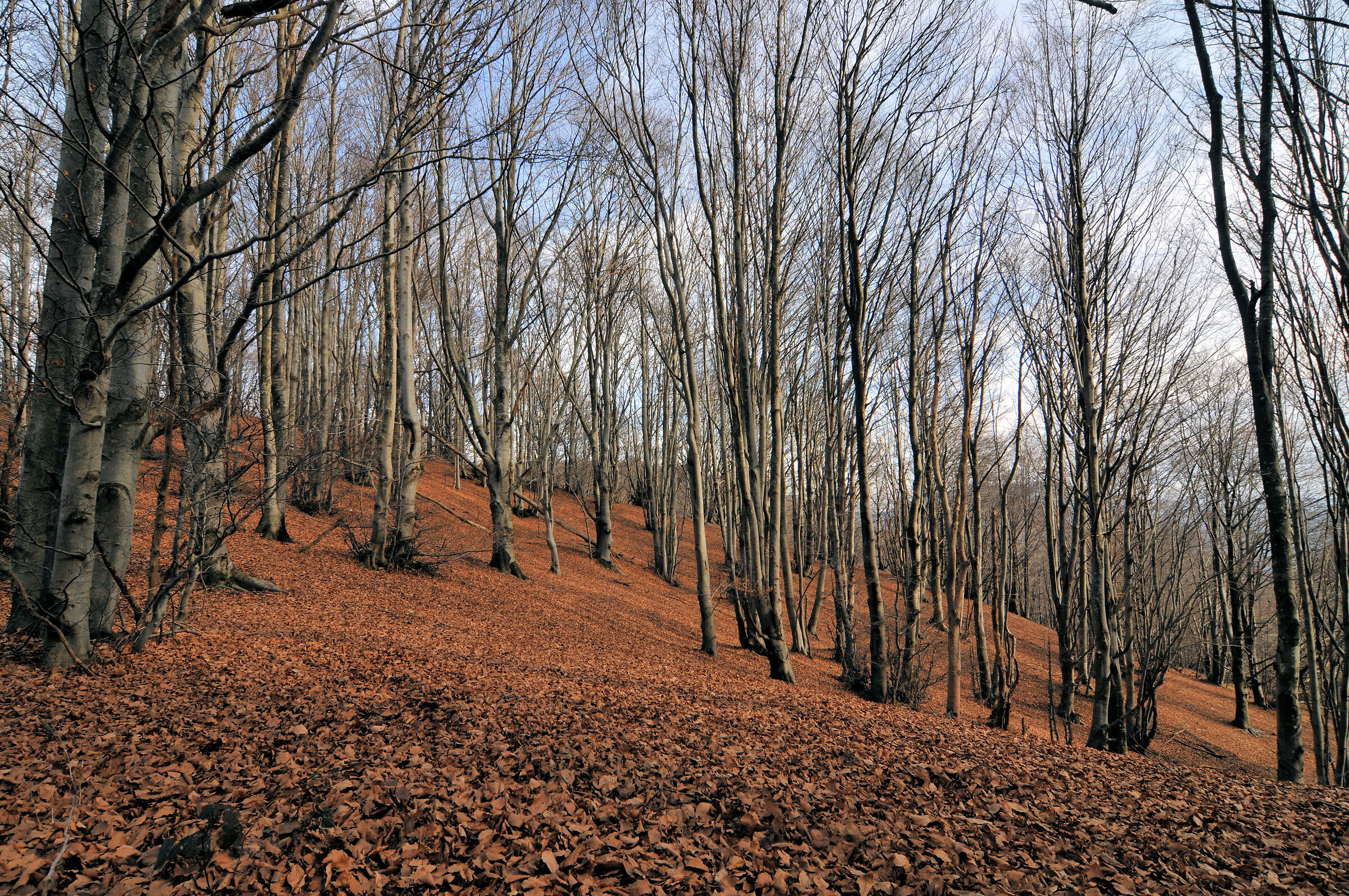 Untitled Photo