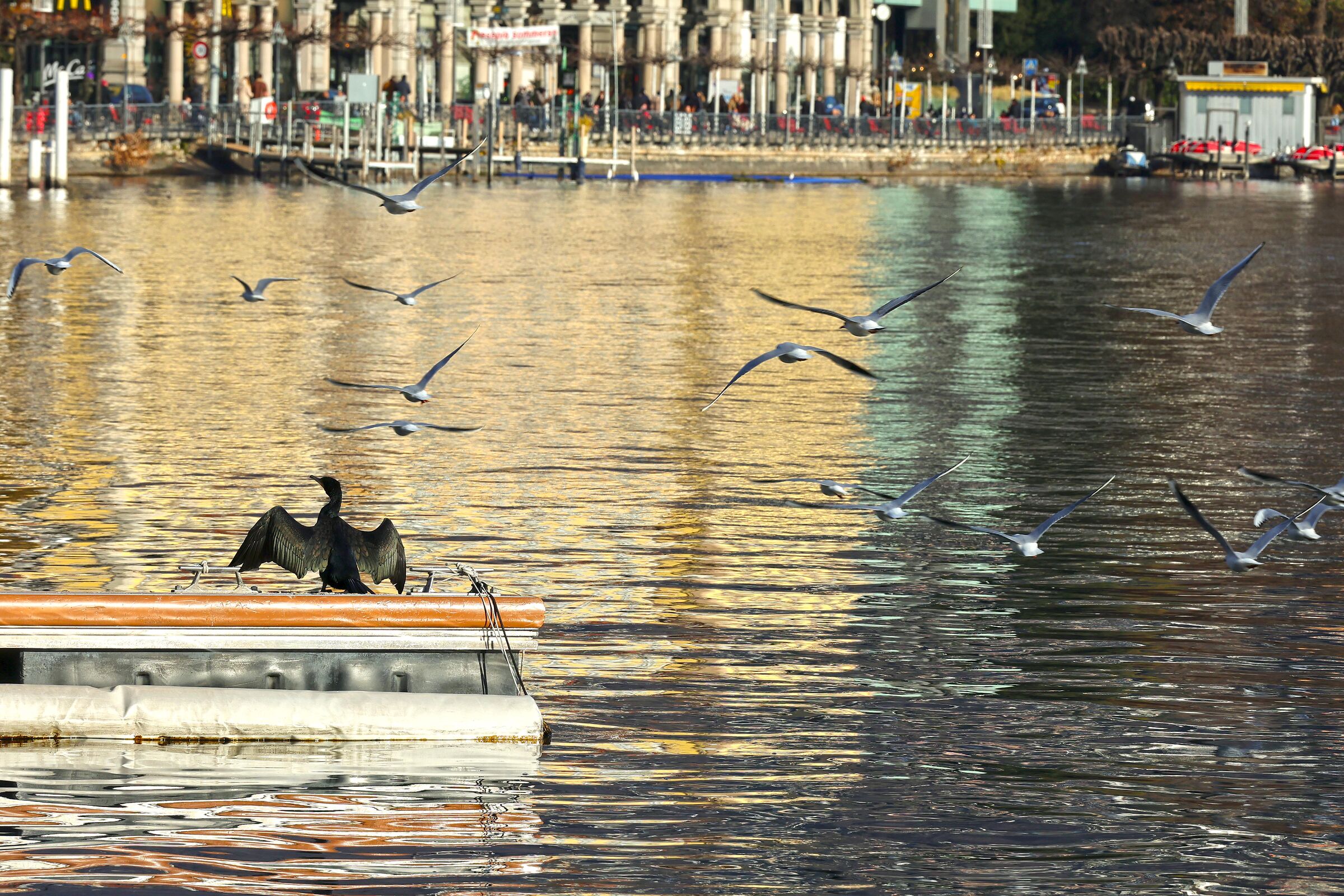 Riflessi sul Lago di Lugano