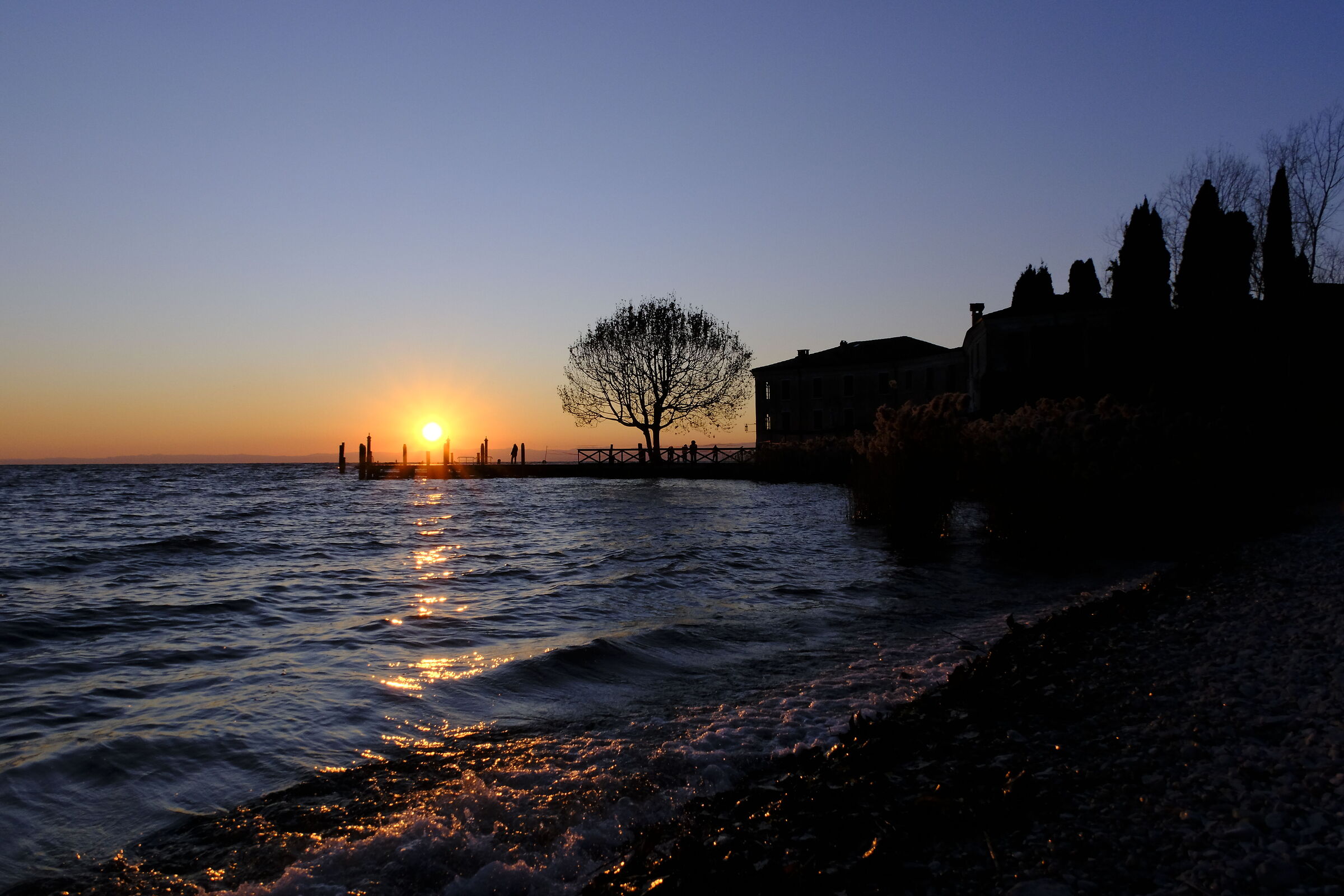 Untitled Photo