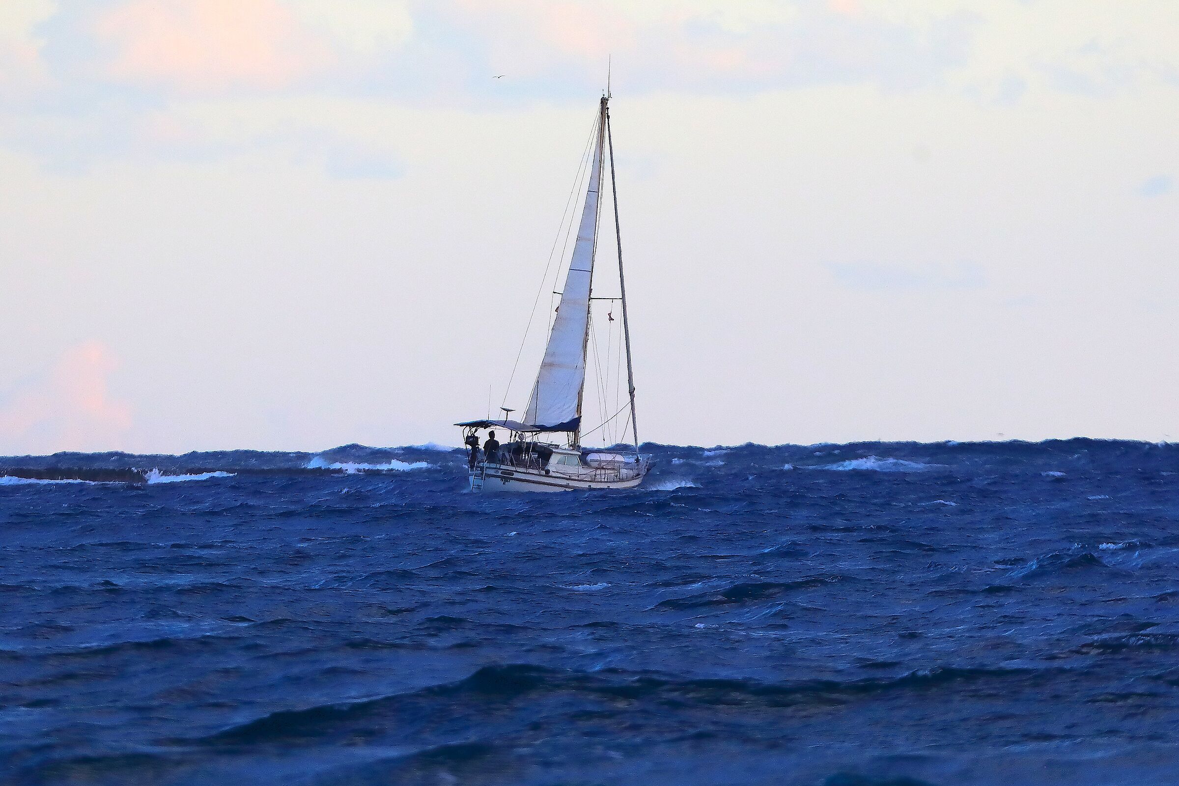 La vela 07 ottobre 2025 - 0403