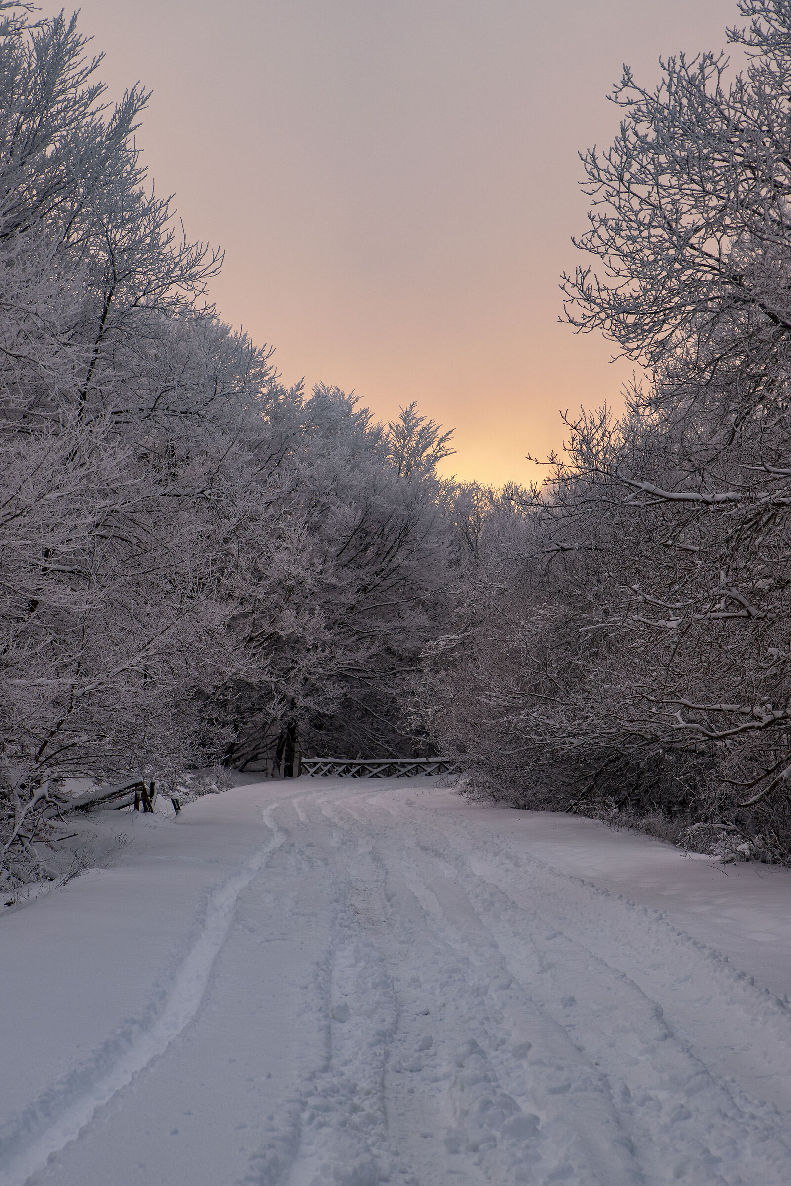 Sunset and snow