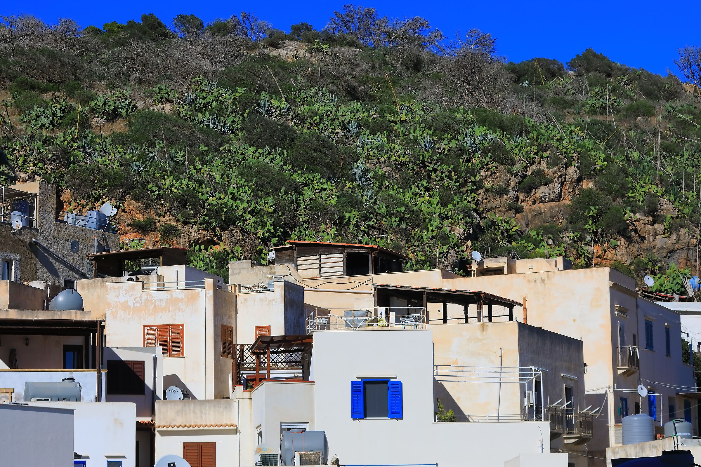 Scorcio 08 ottobre 2025 - 0580