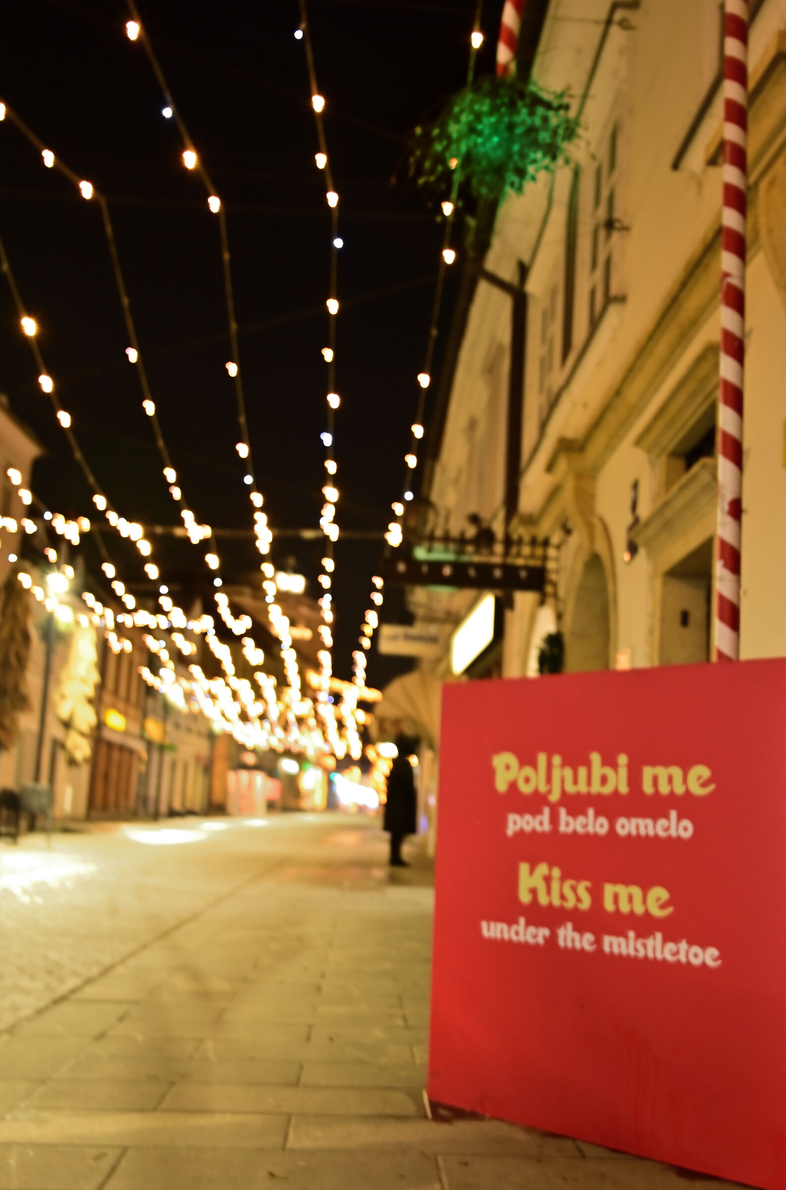 Bacio sotto il vischio bianco