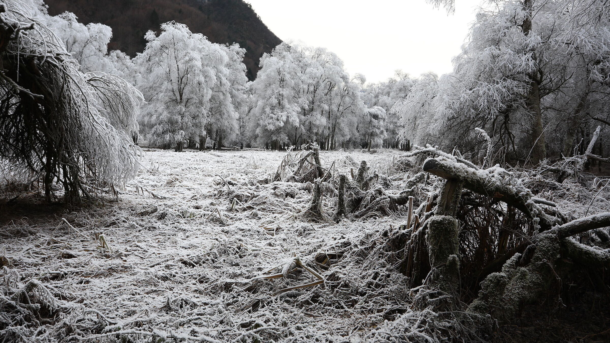 Galaverna Ponte Pià 1